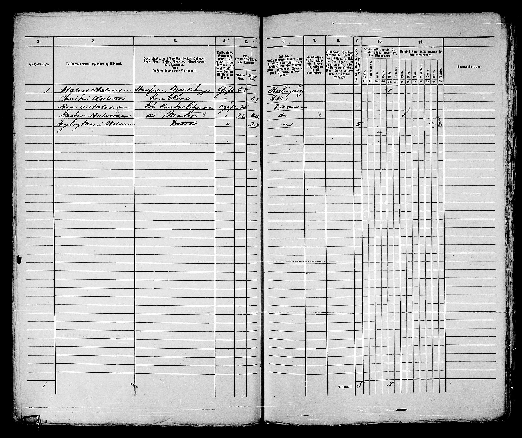 RA, 1865 census for Strømsø in Drammen, 1865, p. 98