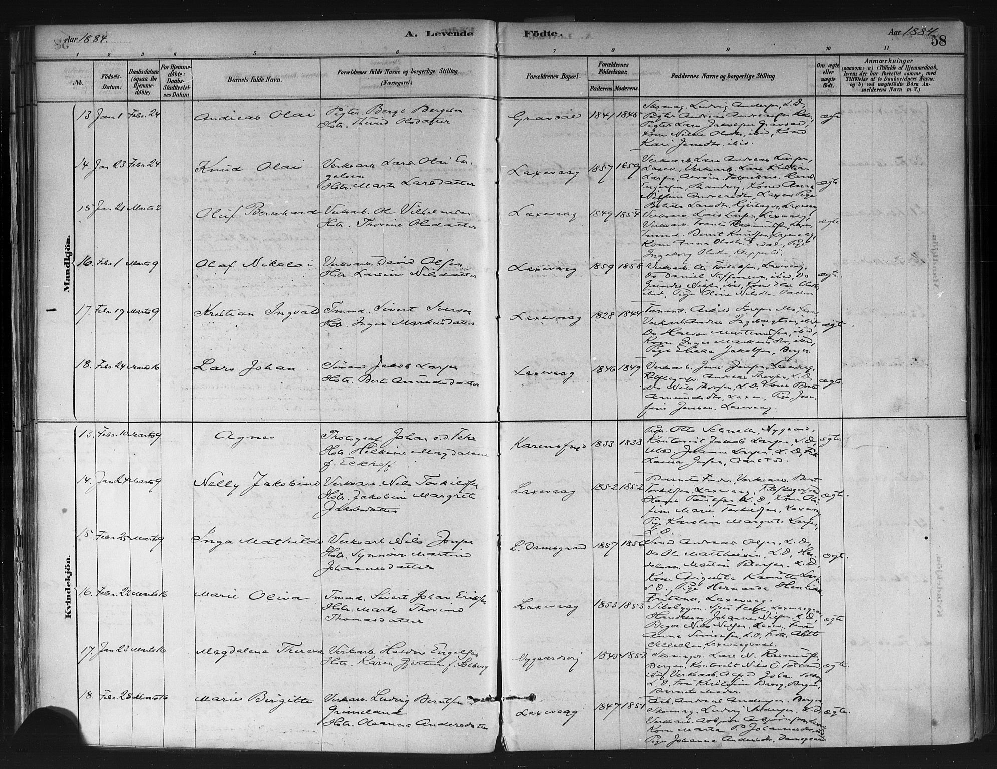 Askøy Sokneprestembete, AV/SAB-A-74101/H/Ha/Haa/Haae/L0002: Parish register (official) no. E 2, 1878-1891, p. 58