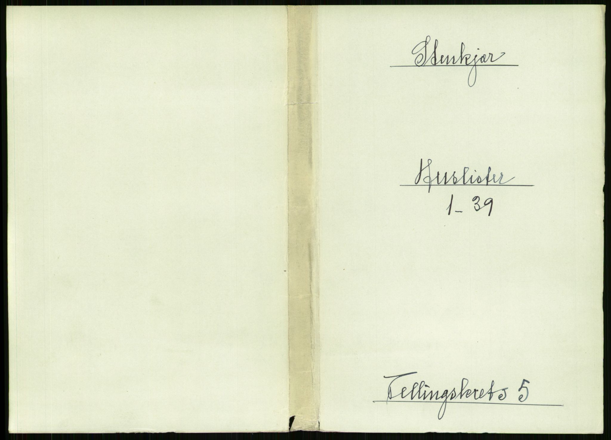 RA, 1891 census for 1702 Steinkjer, 1891, p. 1717