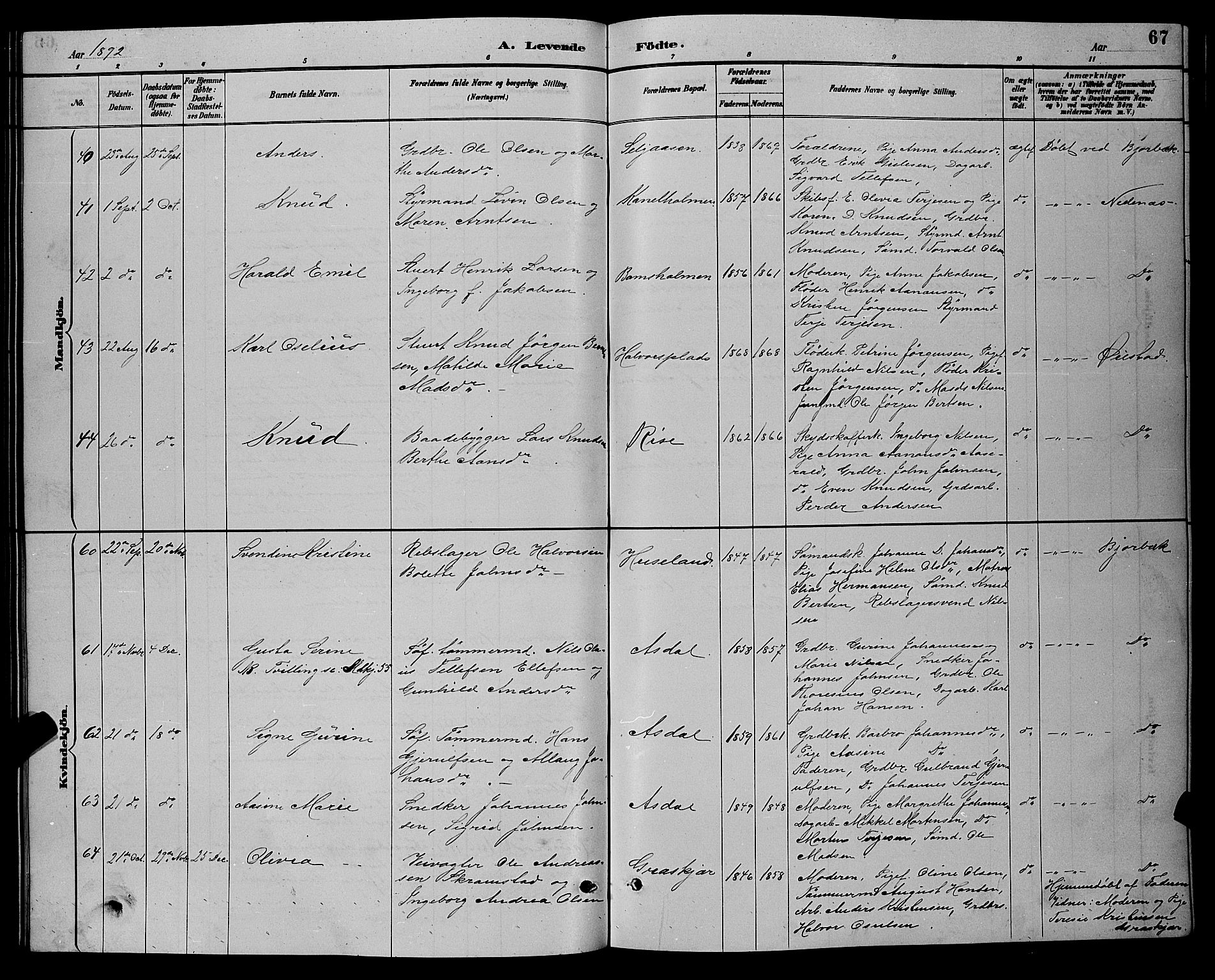 Øyestad sokneprestkontor, AV/SAK-1111-0049/F/Fb/L0009: Parish register (copy) no. B 9, 1886-1896, p. 67