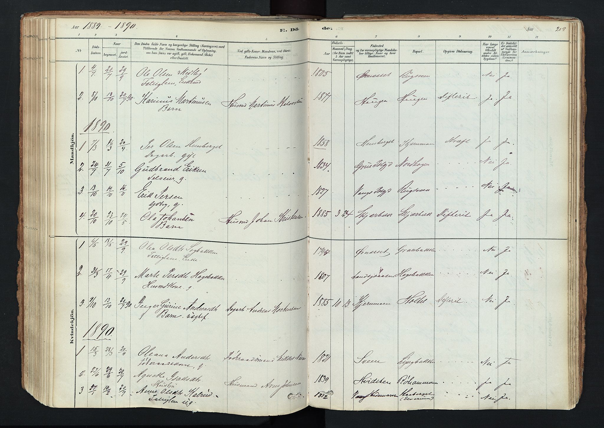 Trysil prestekontor, SAH/PREST-046/H/Ha/Haa/L0011: Parish register (official) no. 11, 1878-1912, p. 209