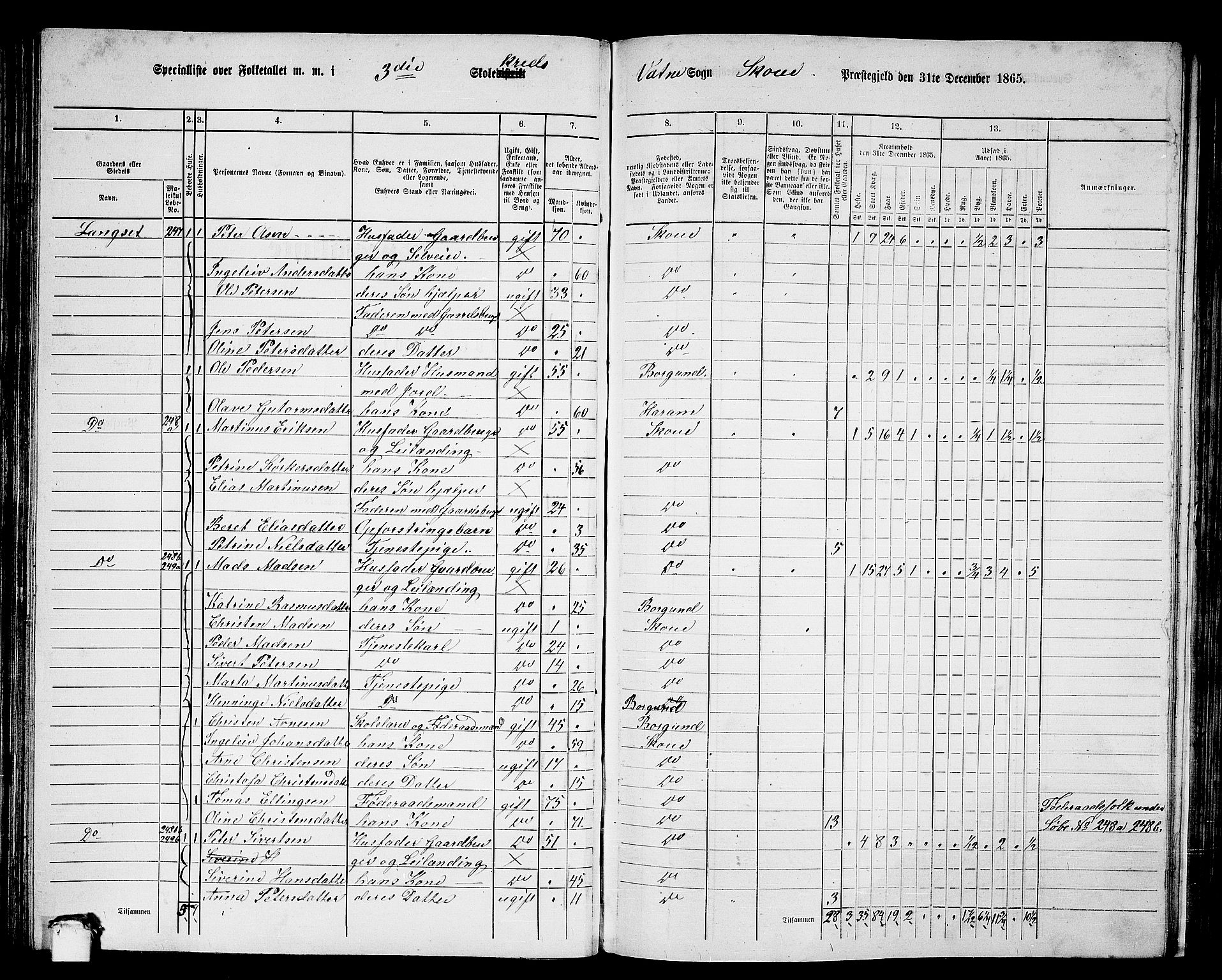 RA, 1865 census for Skodje, 1865, p. 80