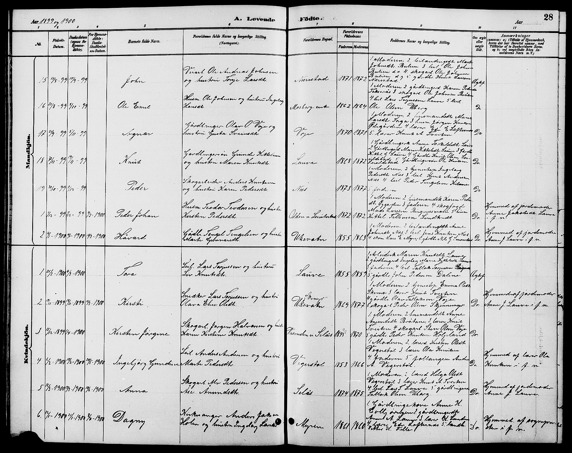 Gjerstad sokneprestkontor, SAK/1111-0014/F/Fb/Fbb/L0004: Parish register (copy) no. B 4, 1890-1910, p. 28