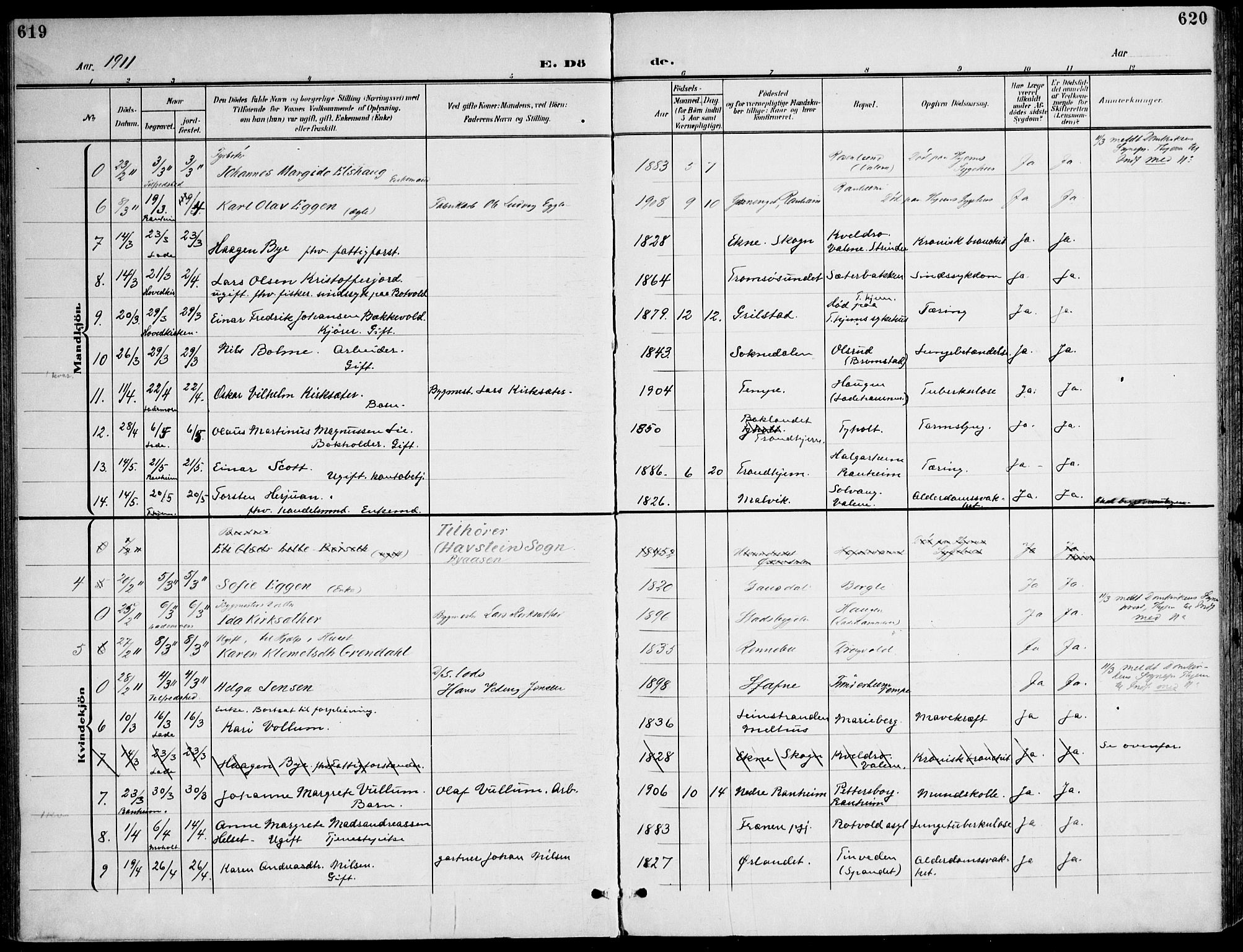 Ministerialprotokoller, klokkerbøker og fødselsregistre - Sør-Trøndelag, SAT/A-1456/607/L0320: Parish register (official) no. 607A04, 1907-1915, p. 619-620