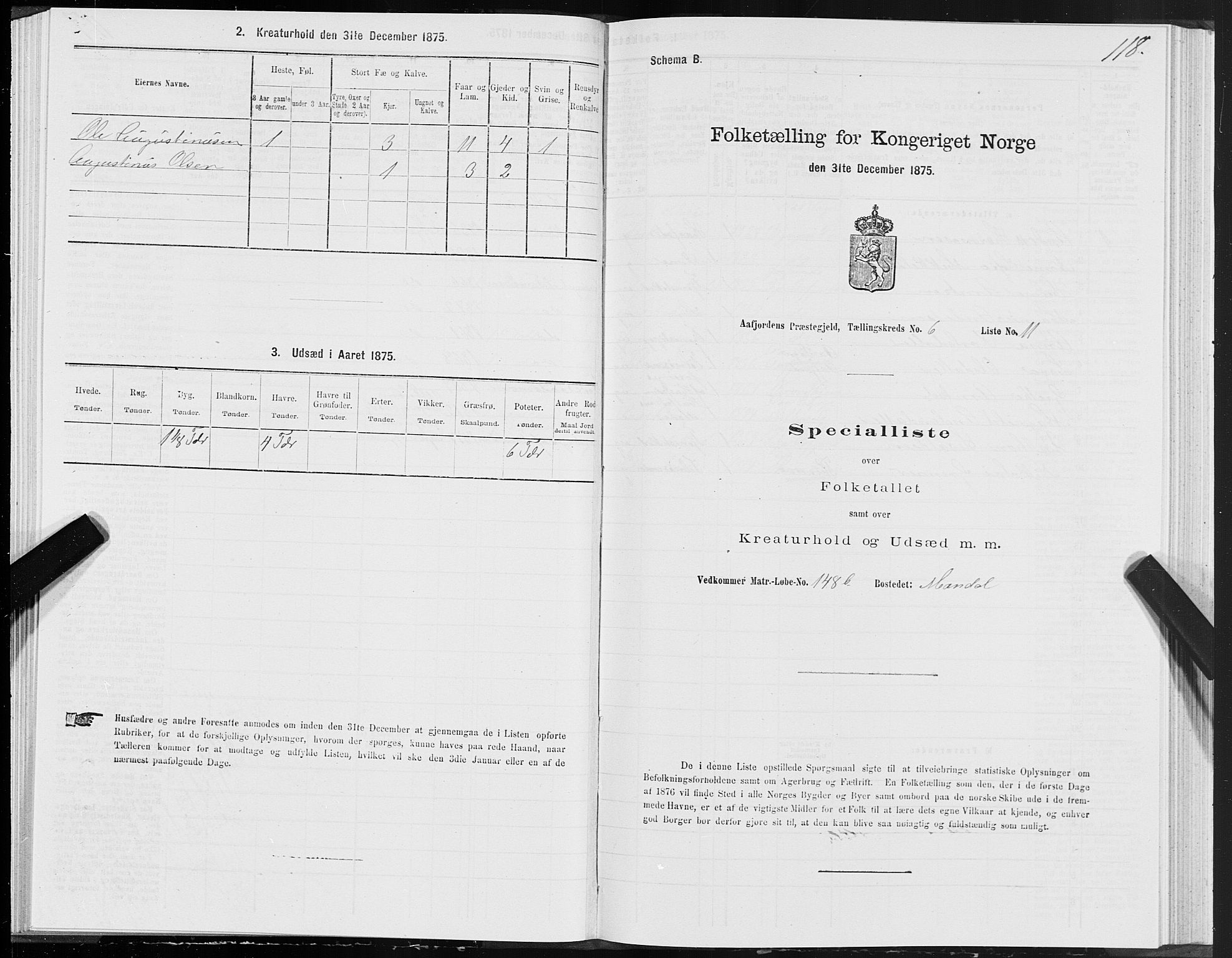 SAT, 1875 census for 1630P Aafjorden, 1875, p. 3118