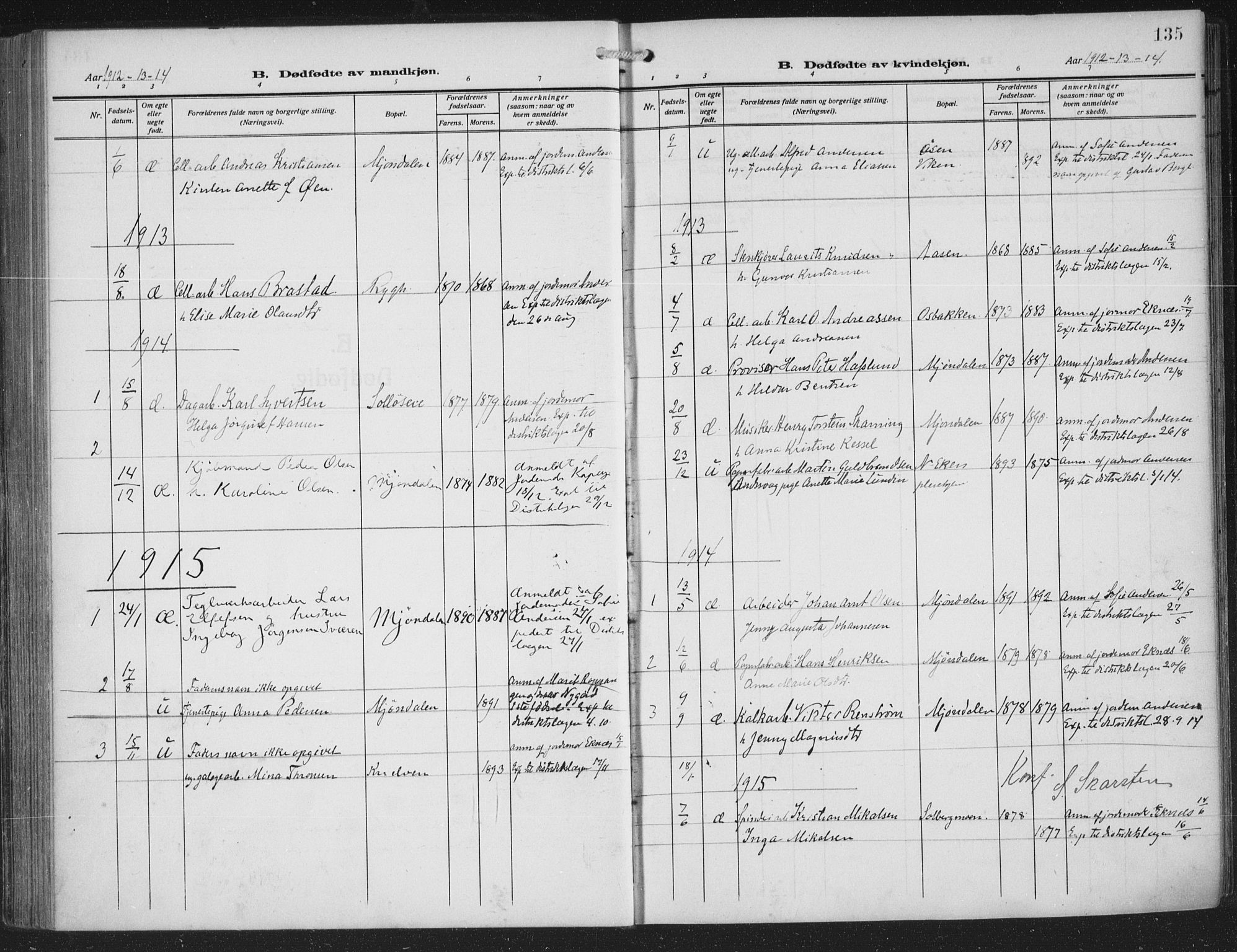 Nedre Eiker kirkebøker, SAKO/A-612/F/Fa/L0007: Parish register (official) no. 7, 1912-1918, p. 135