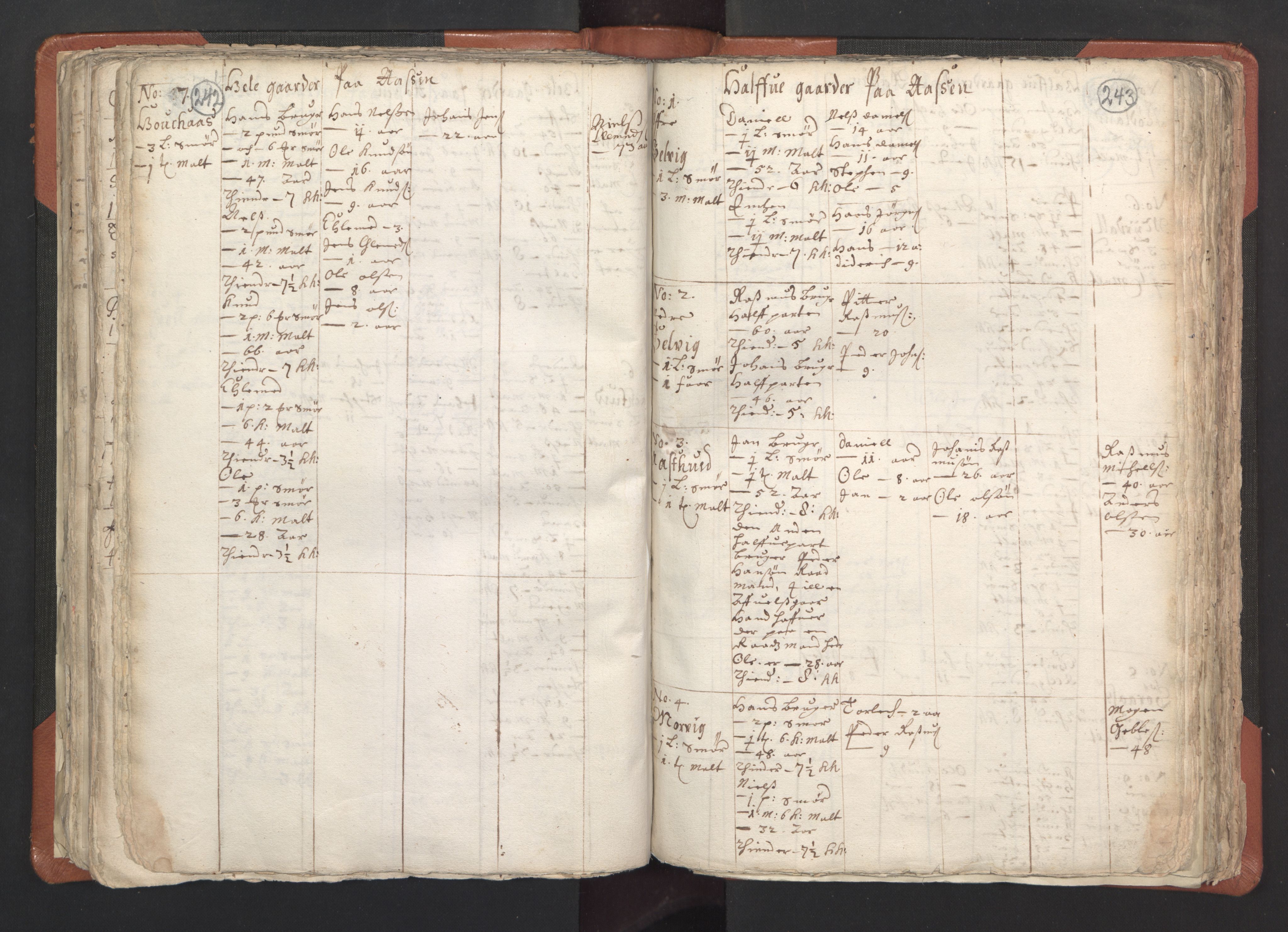 RA, Vicar's Census 1664-1666, no. 22: Nordhordland deanery, 1664-1666, p. 242-243