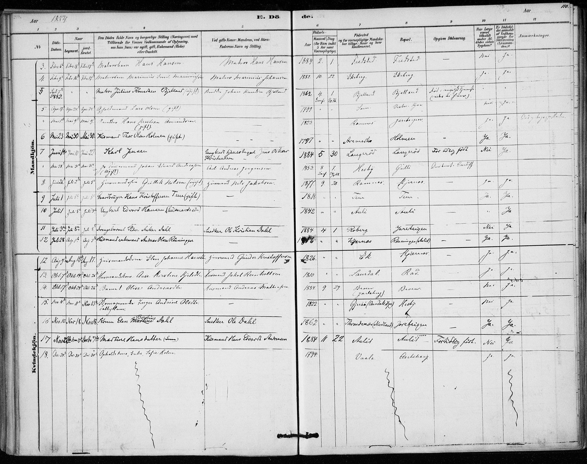 Sem kirkebøker, SAKO/A-5/F/Fa/L0010: Parish register (official) no. I 10, 1878-1887, p. 110