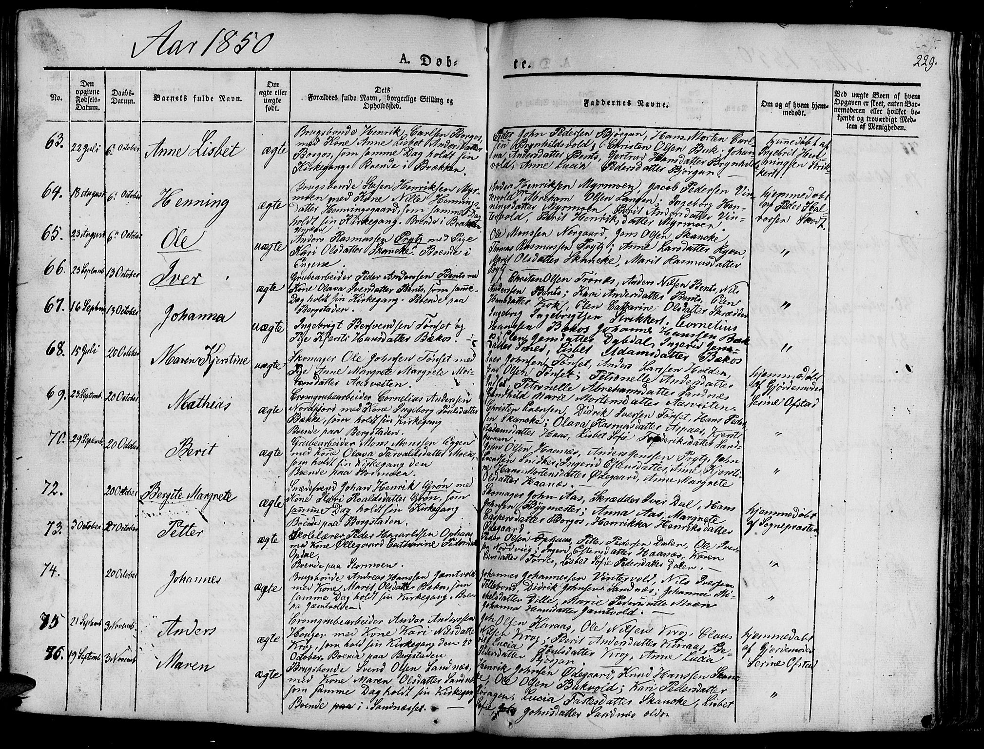 Ministerialprotokoller, klokkerbøker og fødselsregistre - Sør-Trøndelag, SAT/A-1456/681/L0938: Parish register (copy) no. 681C02, 1829-1879, p. 229