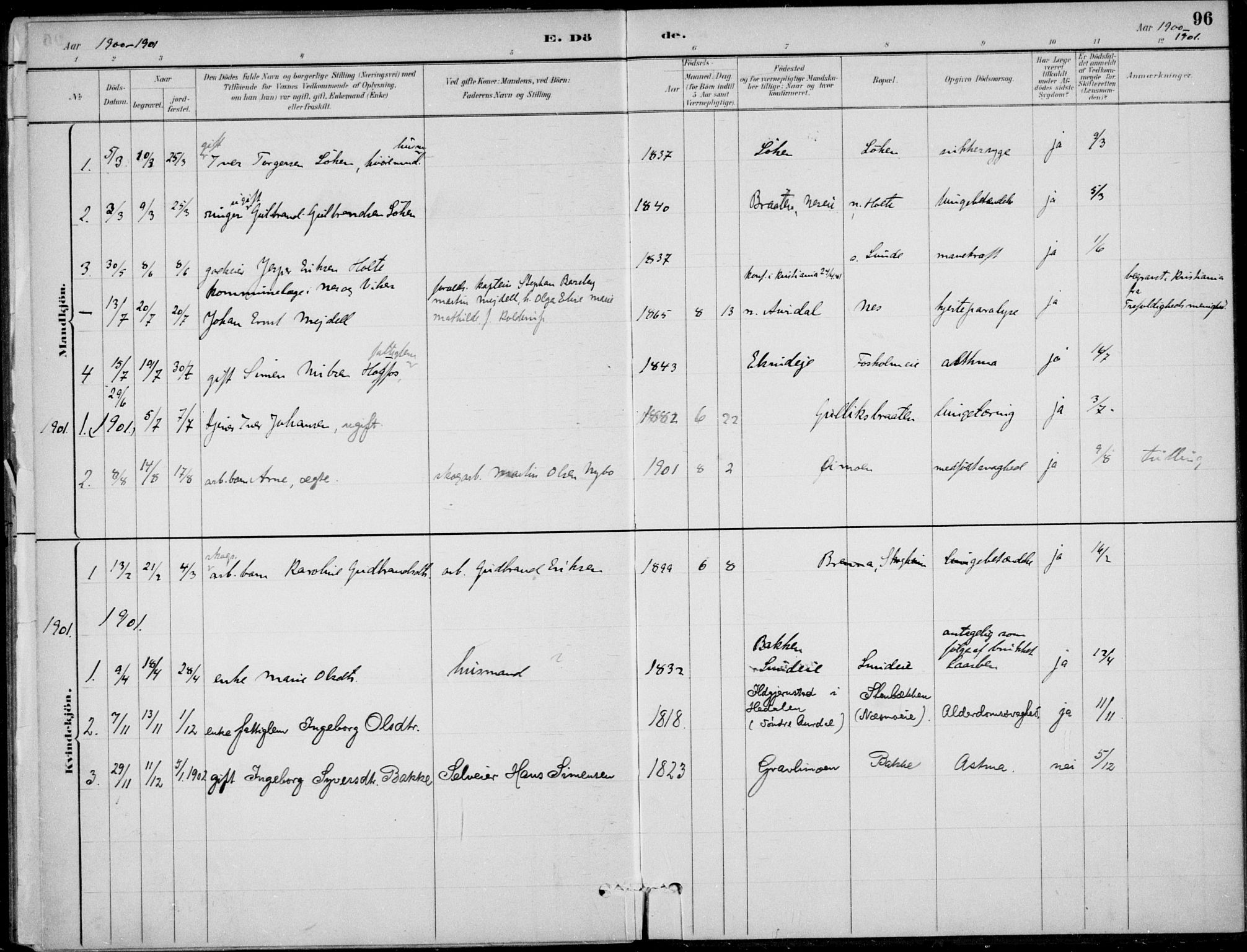 Ådal kirkebøker, AV/SAKO-A-248/F/Fa/L0004: Parish register (official) no. I 4, 1884-1904, p. 96