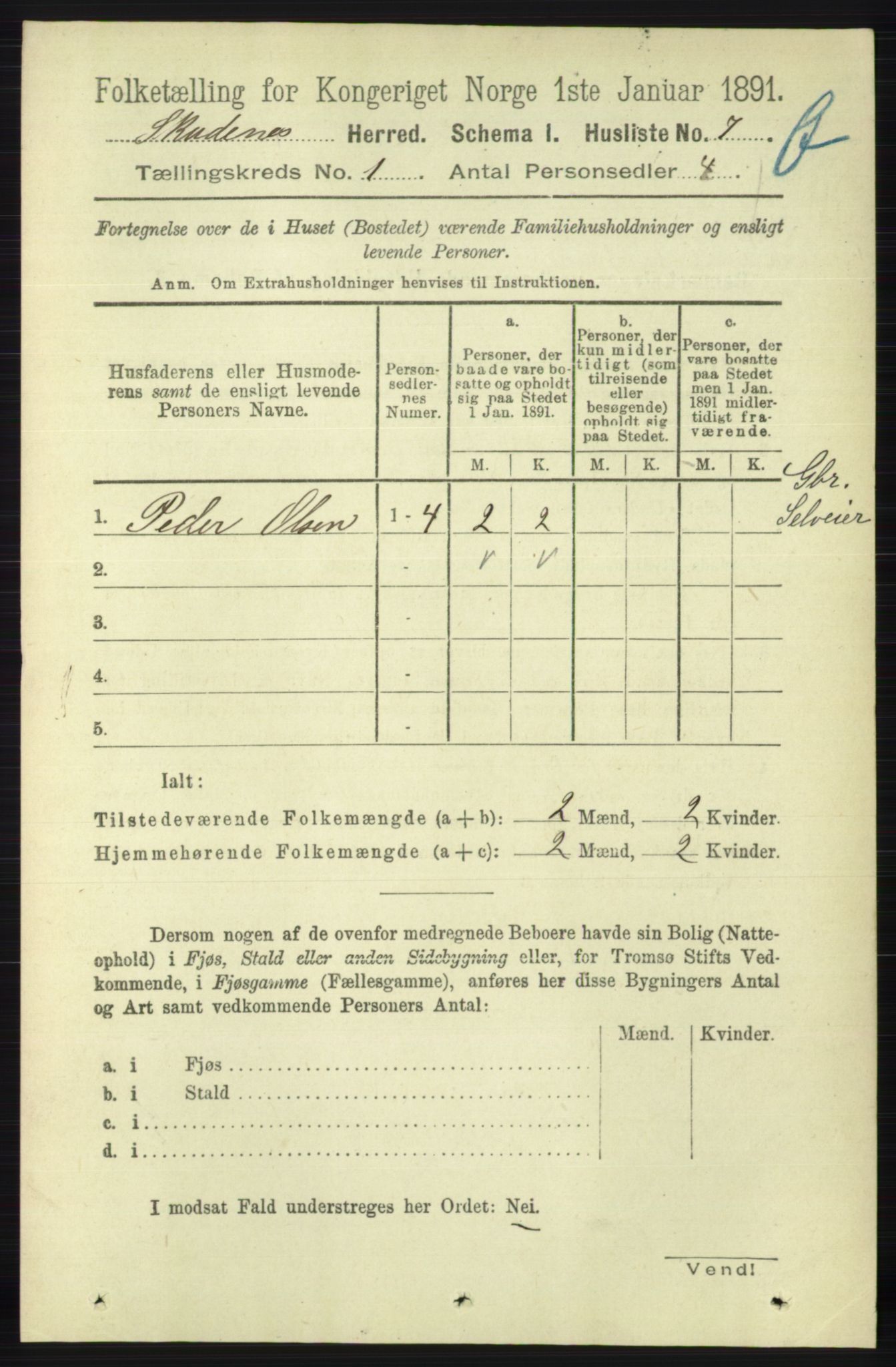 RA, 1891 census for 1150 Skudenes, 1891, p. 3352
