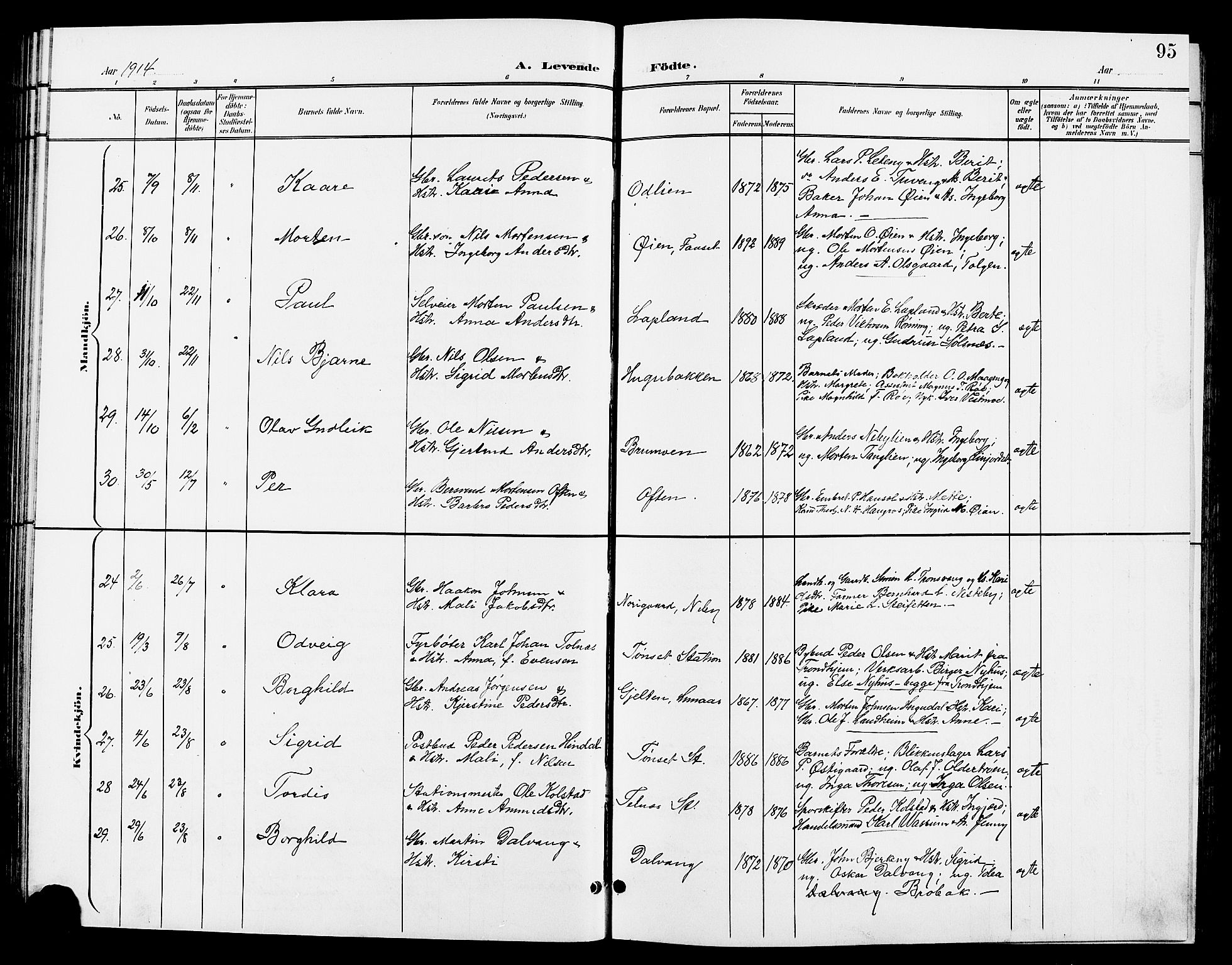 Tynset prestekontor, AV/SAH-PREST-058/H/Ha/Hab/L0009: Parish register (copy) no. 9, 1900-1914, p. 95