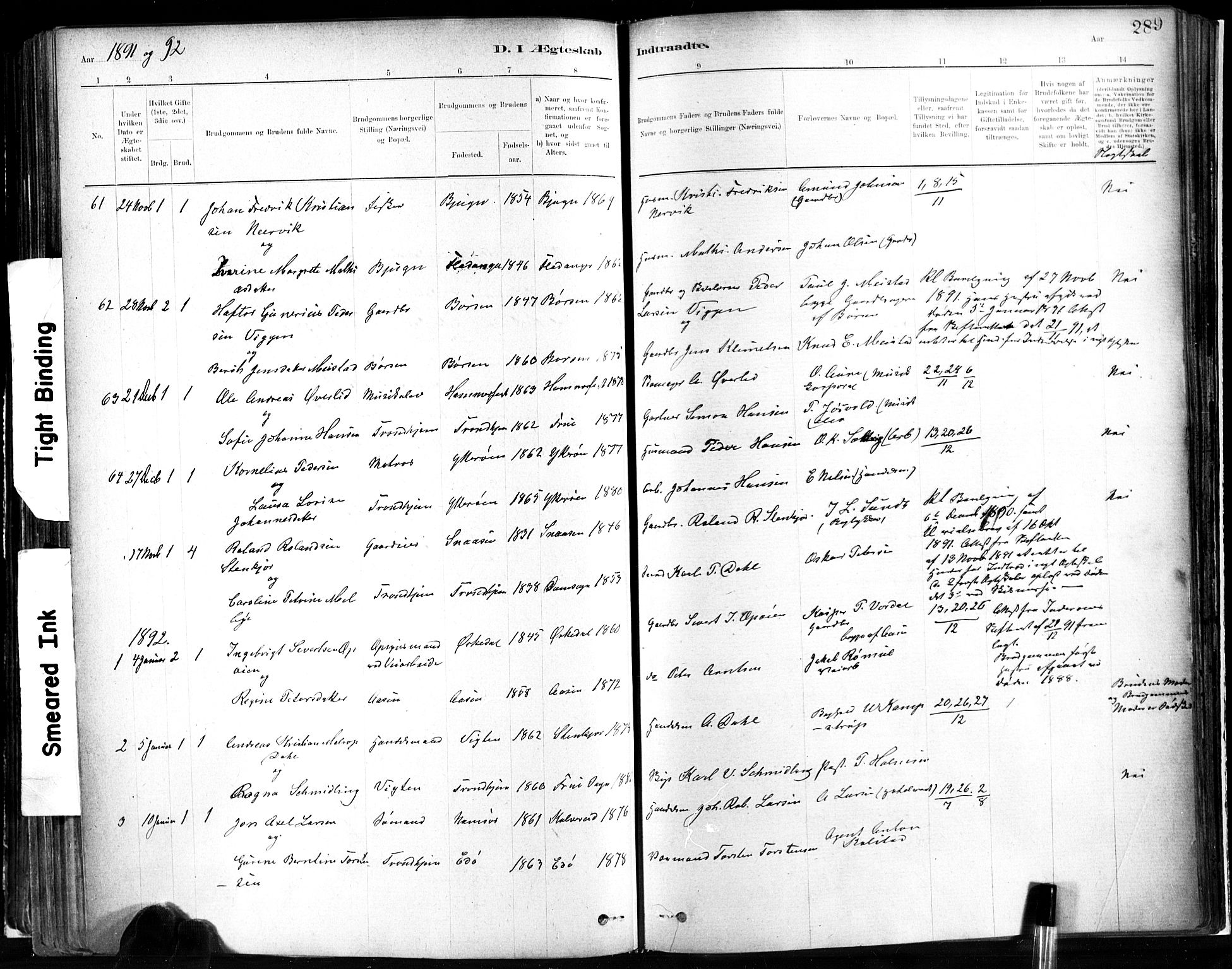 Ministerialprotokoller, klokkerbøker og fødselsregistre - Sør-Trøndelag, AV/SAT-A-1456/602/L0119: Parish register (official) no. 602A17, 1880-1901, p. 289