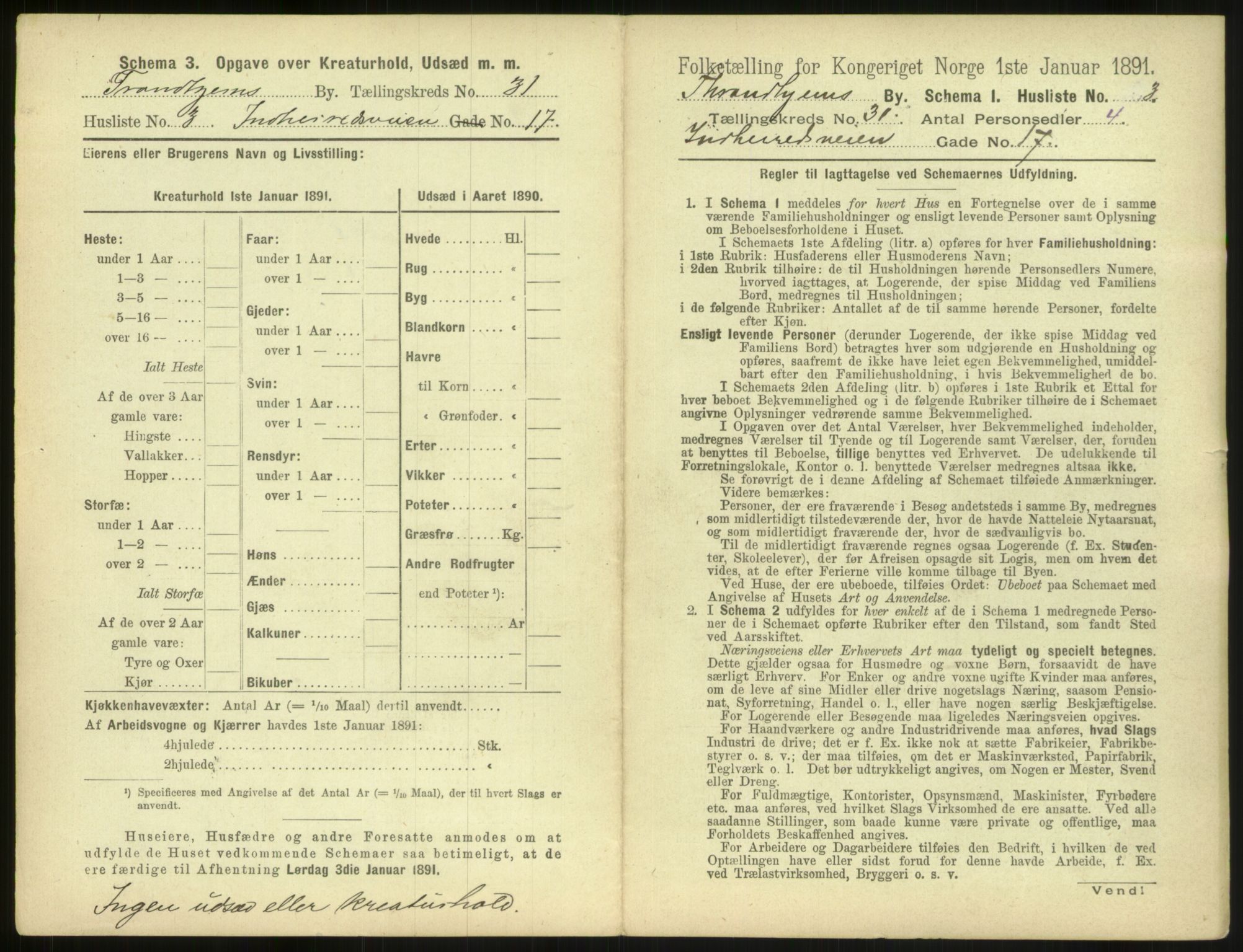 RA, 1891 census for 1601 Trondheim, 1891, p. 2316