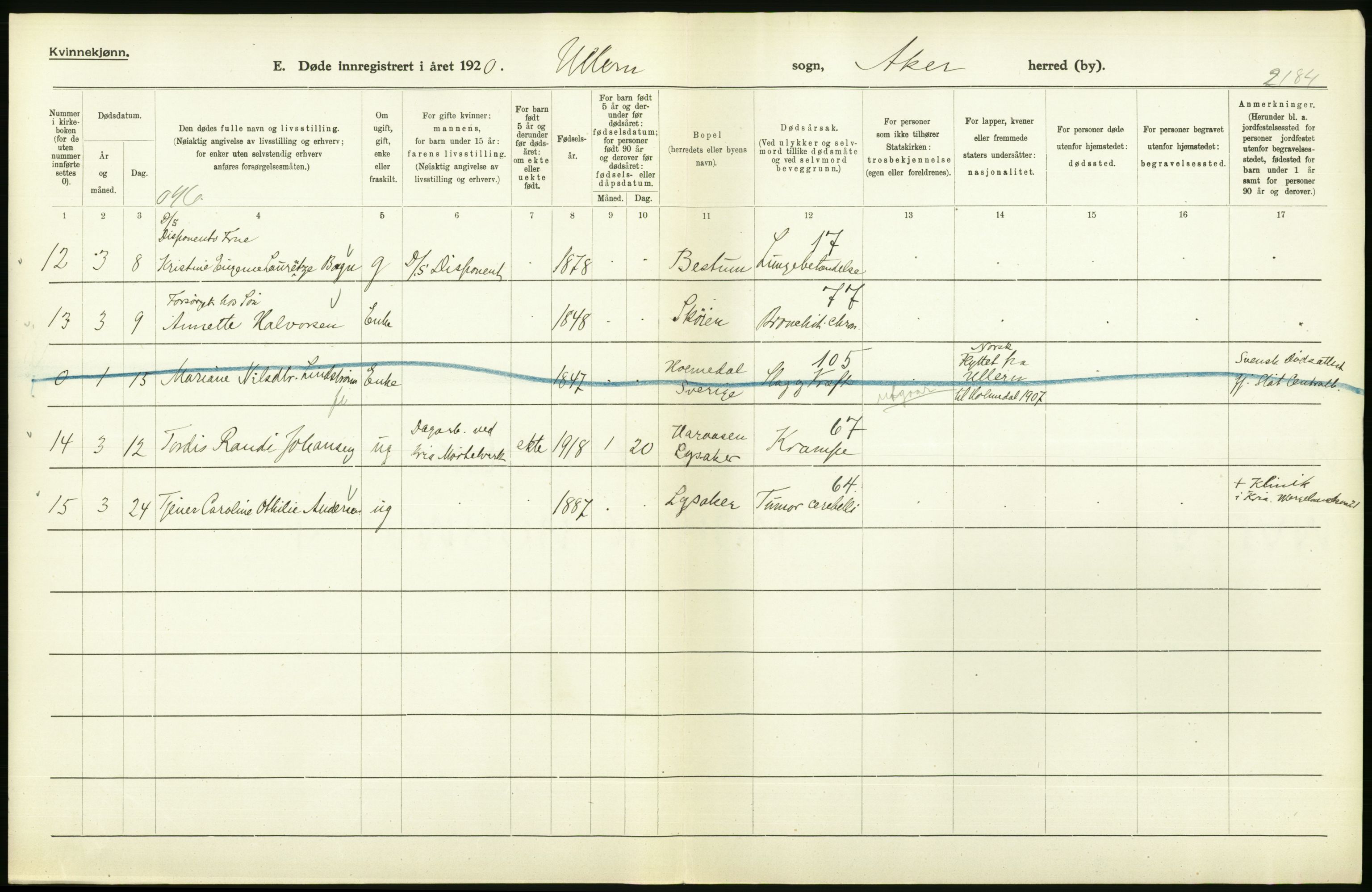 Statistisk sentralbyrå, Sosiodemografiske emner, Befolkning, AV/RA-S-2228/D/Df/Dfb/Dfbj/L0007: Akershus fylke: Døde. Bygder og byer., 1920, p. 302