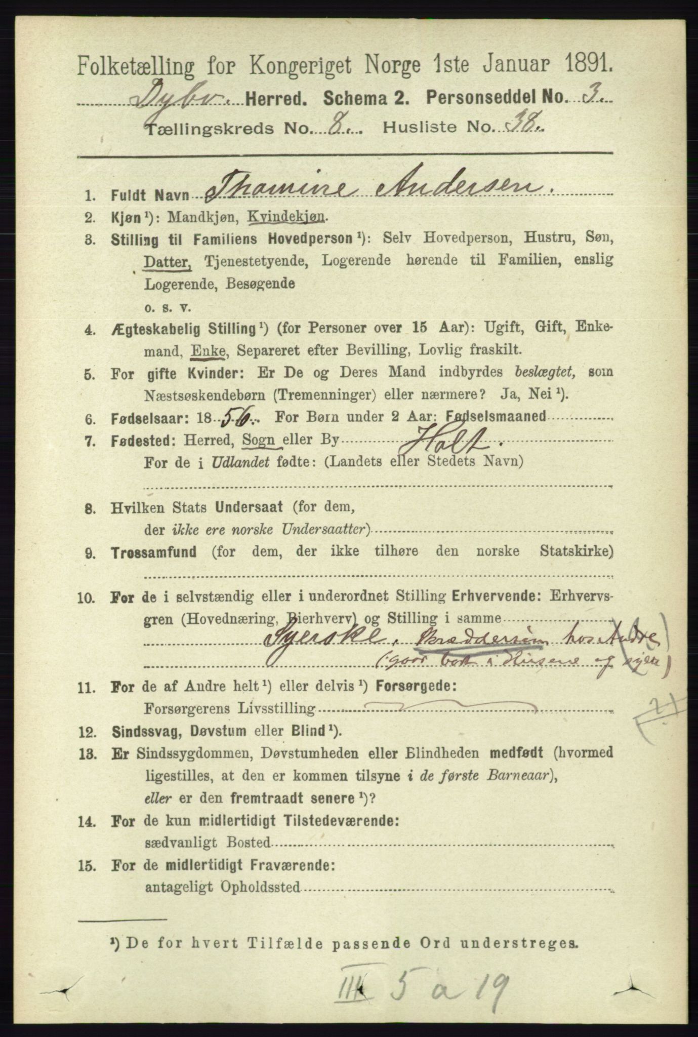 RA, 1891 census for 0915 Dypvåg, 1891, p. 2955