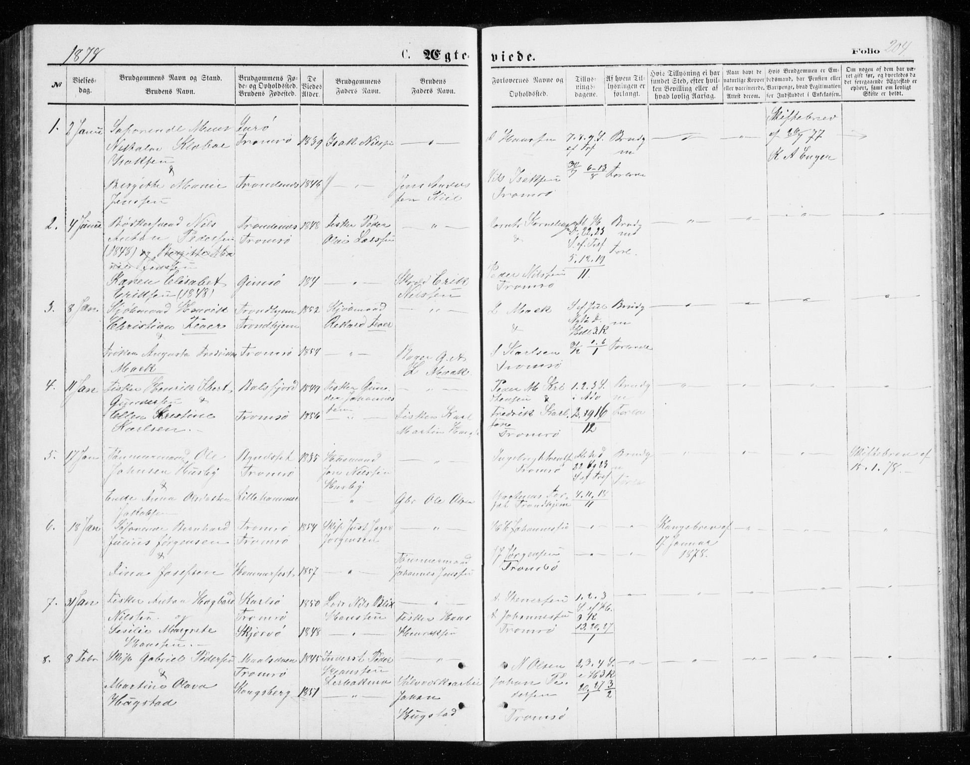 Tromsø sokneprestkontor/stiftsprosti/domprosti, SATØ/S-1343/G/Gb/L0008klokker: Parish register (copy) no. 8, 1875-1879, p. 204