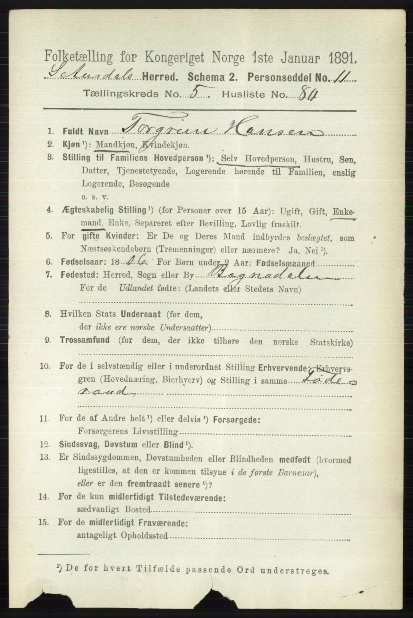 RA, 1891 census for 0540 Sør-Aurdal, 1891, p. 3722