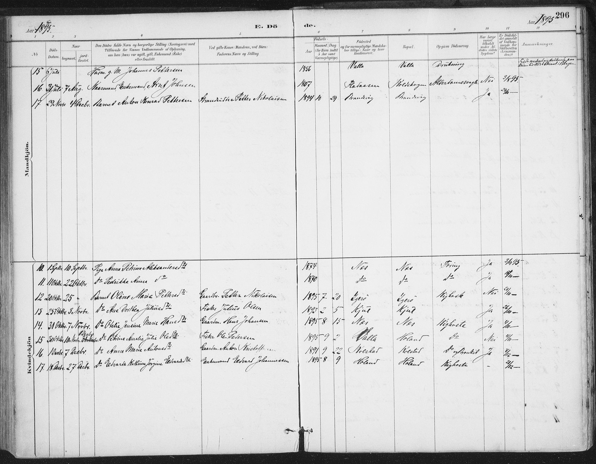 Ministerialprotokoller, klokkerbøker og fødselsregistre - Nordland, AV/SAT-A-1459/816/L0244: Parish register (official) no. 816A10, 1886-1903, p. 296