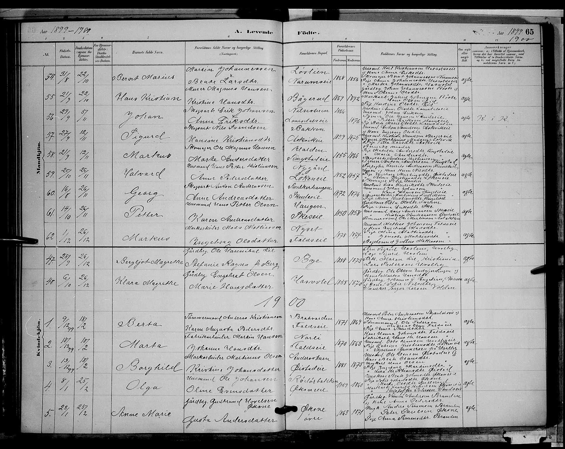 Søndre Land prestekontor, SAH/PREST-122/L/L0002: Parish register (copy) no. 2, 1884-1900, p. 65
