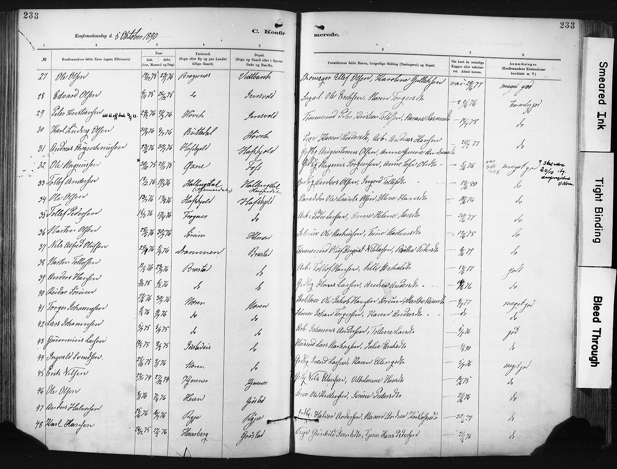 Lier kirkebøker, AV/SAKO-A-230/F/Fa/L0015: Parish register (official) no. I 15, 1883-1894, p. 233