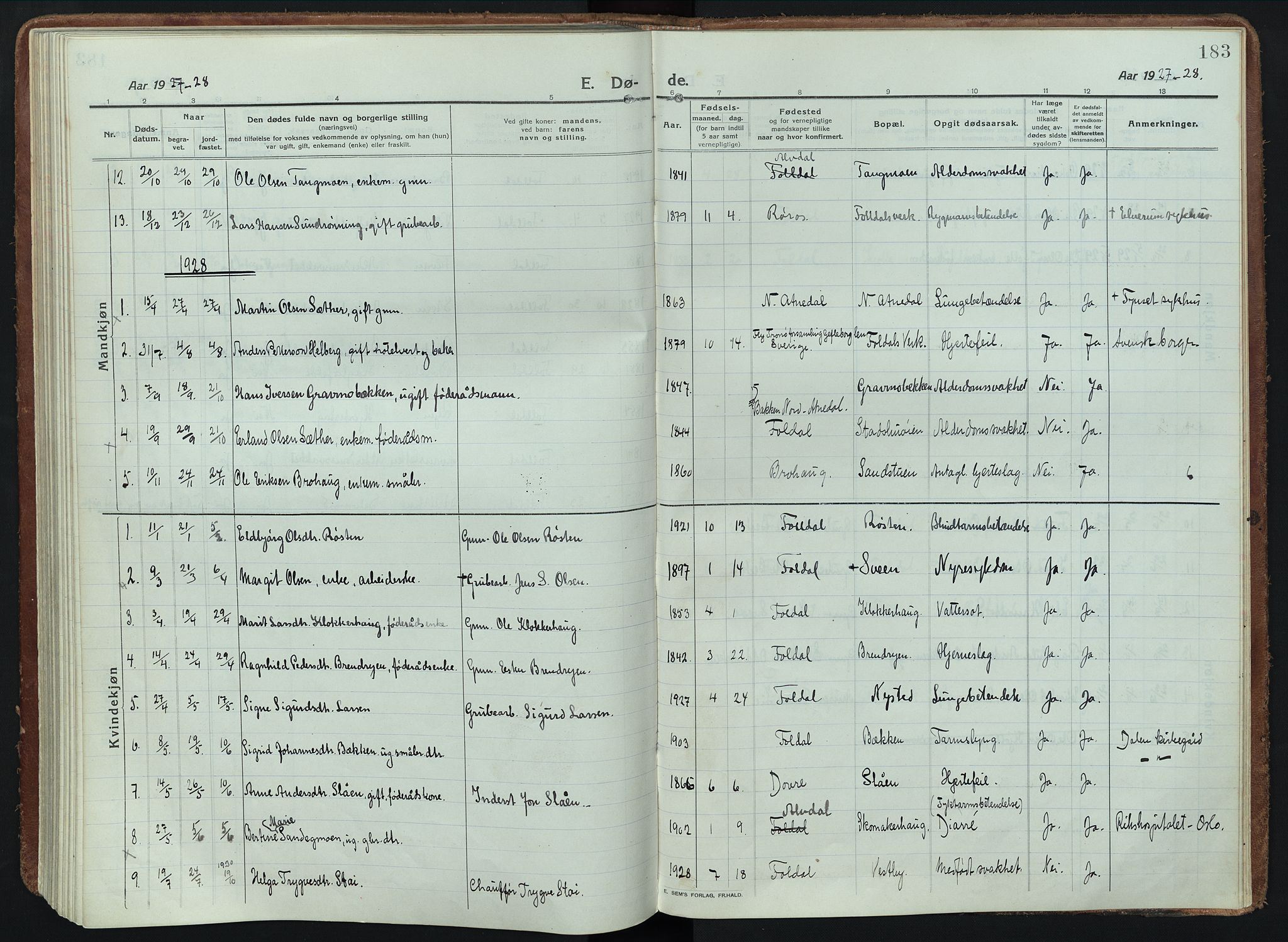 Alvdal prestekontor, AV/SAH-PREST-060/H/Ha/Haa/L0005: Parish register (official) no. 5, 1913-1930, p. 183