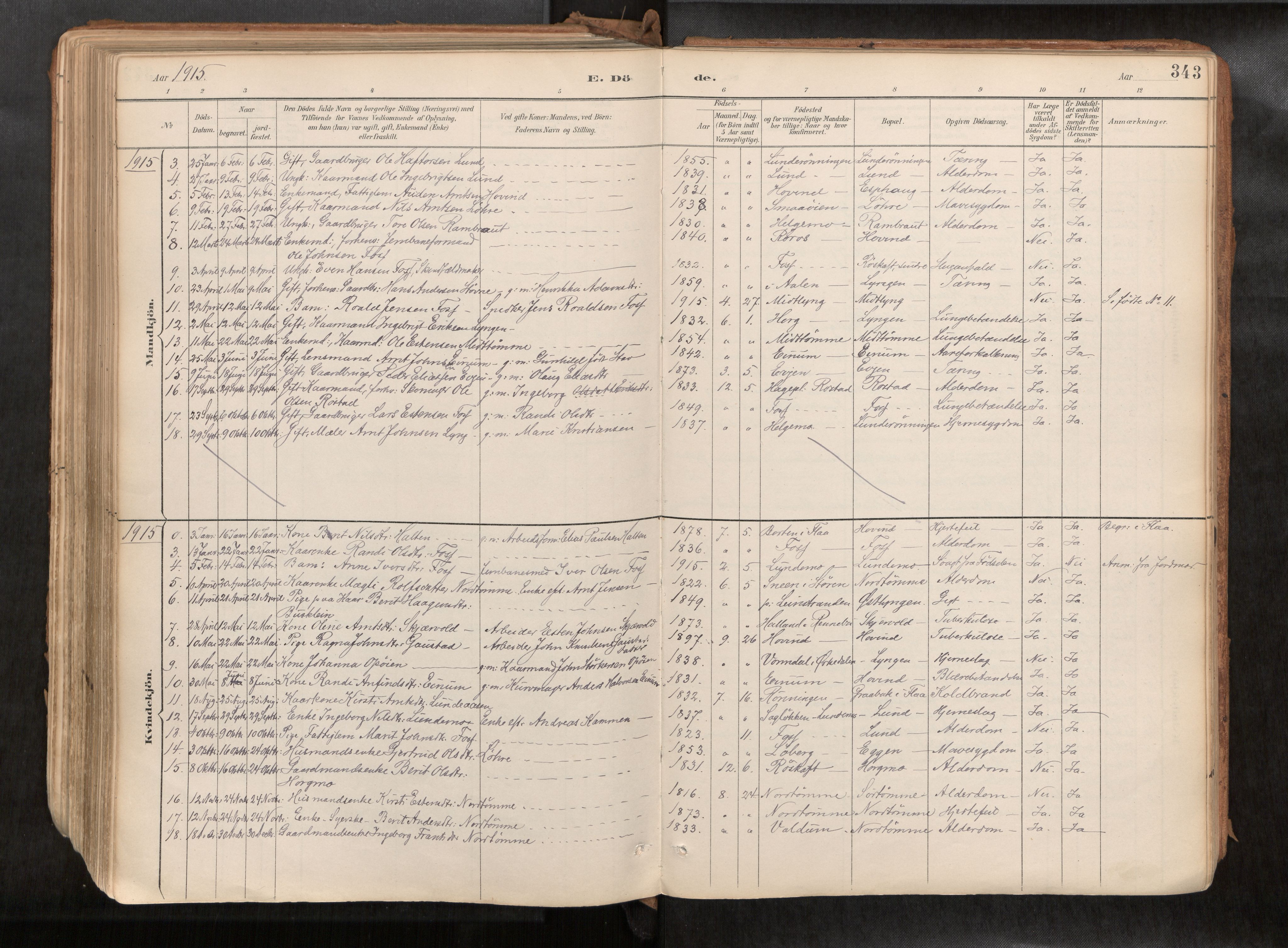 Ministerialprotokoller, klokkerbøker og fødselsregistre - Sør-Trøndelag, SAT/A-1456/692/L1105b: Parish register (official) no. 692A06, 1891-1934, p. 343