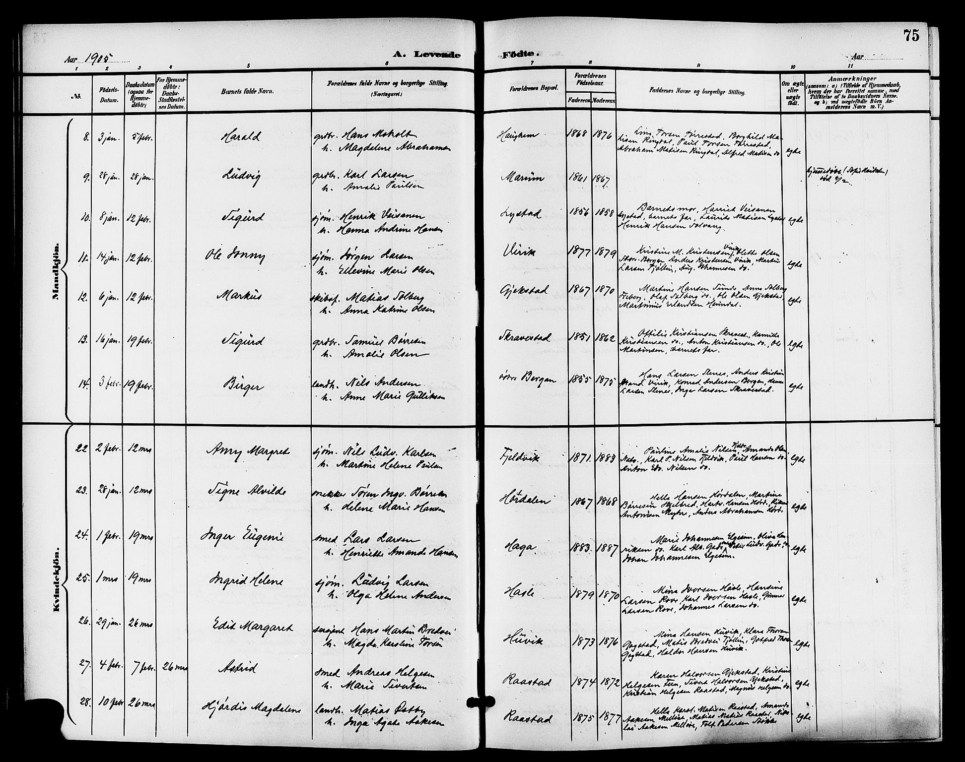 Sandar kirkebøker, AV/SAKO-A-243/G/Ga/L0002: Parish register (copy) no. 2, 1900-1915, p. 75