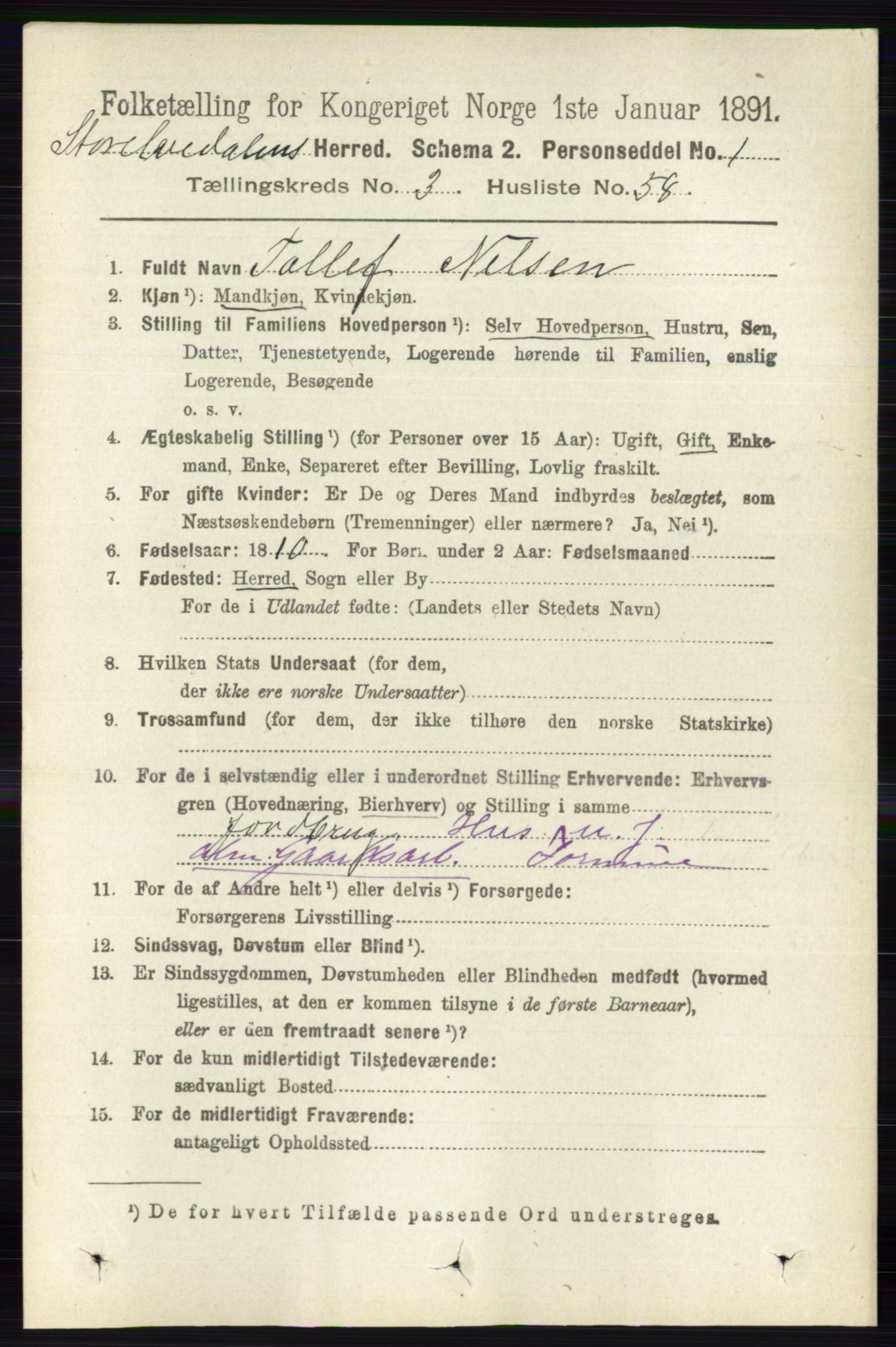 RA, 1891 census for 0430 Stor-Elvdal, 1891, p. 1252