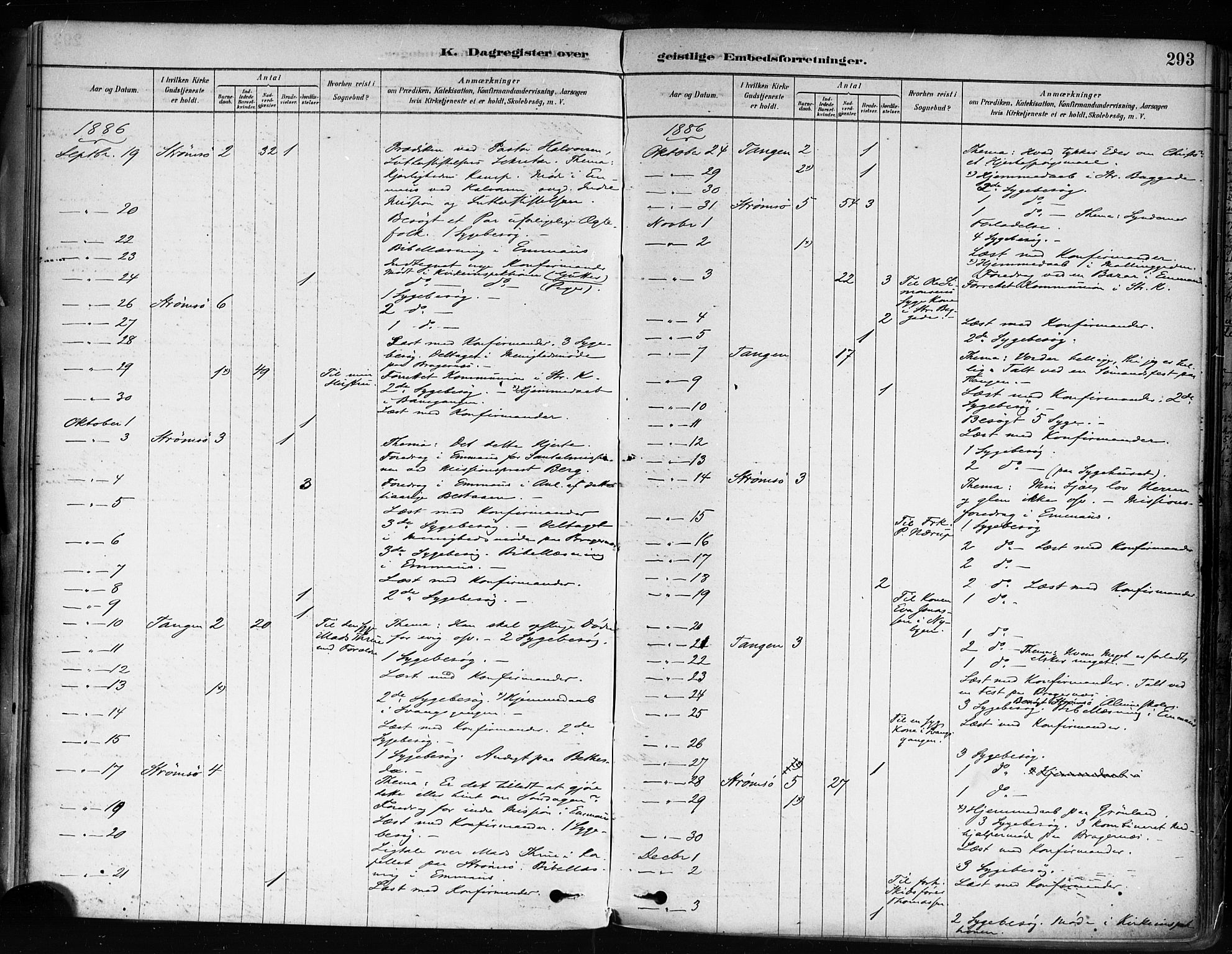 Strømsø kirkebøker, SAKO/A-246/F/Fa/L0022: Parish register (official) no. I 22, 1879-1899, p. 293