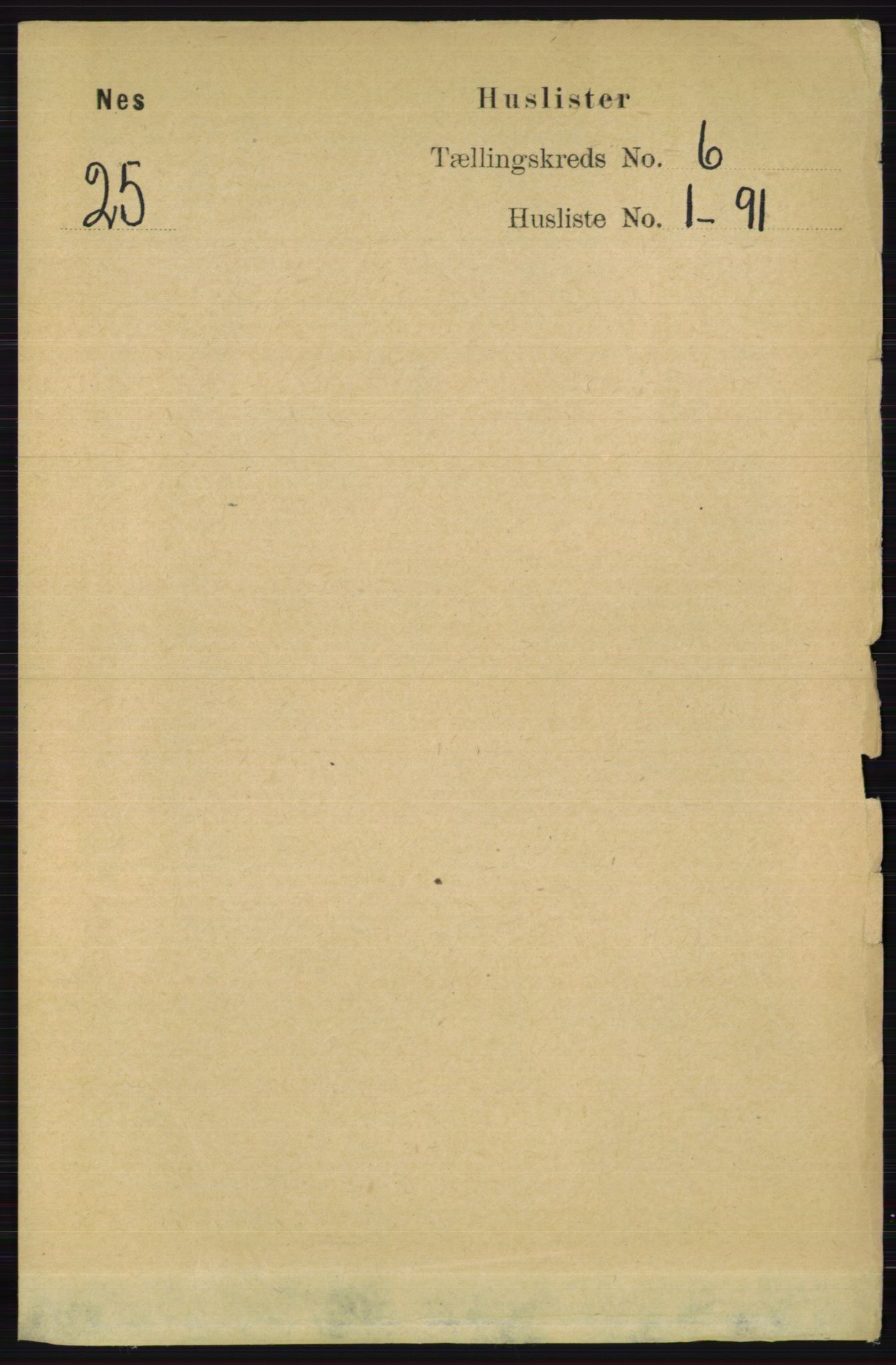 RA, 1891 census for 0236 Nes, 1891, p. 3300