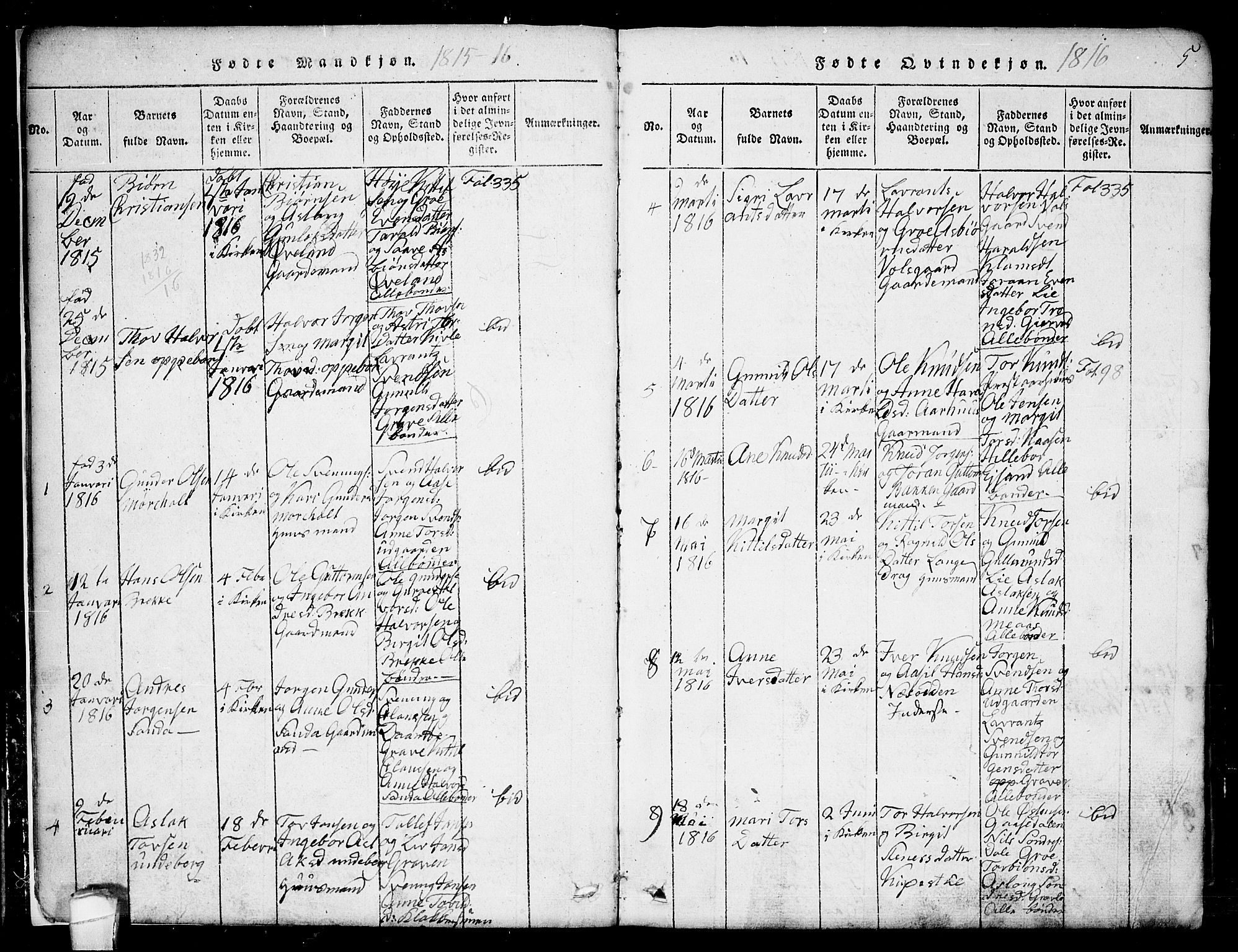 Seljord kirkebøker, AV/SAKO-A-20/G/Ga/L0001: Parish register (copy) no. I 1, 1815-1854, p. 5