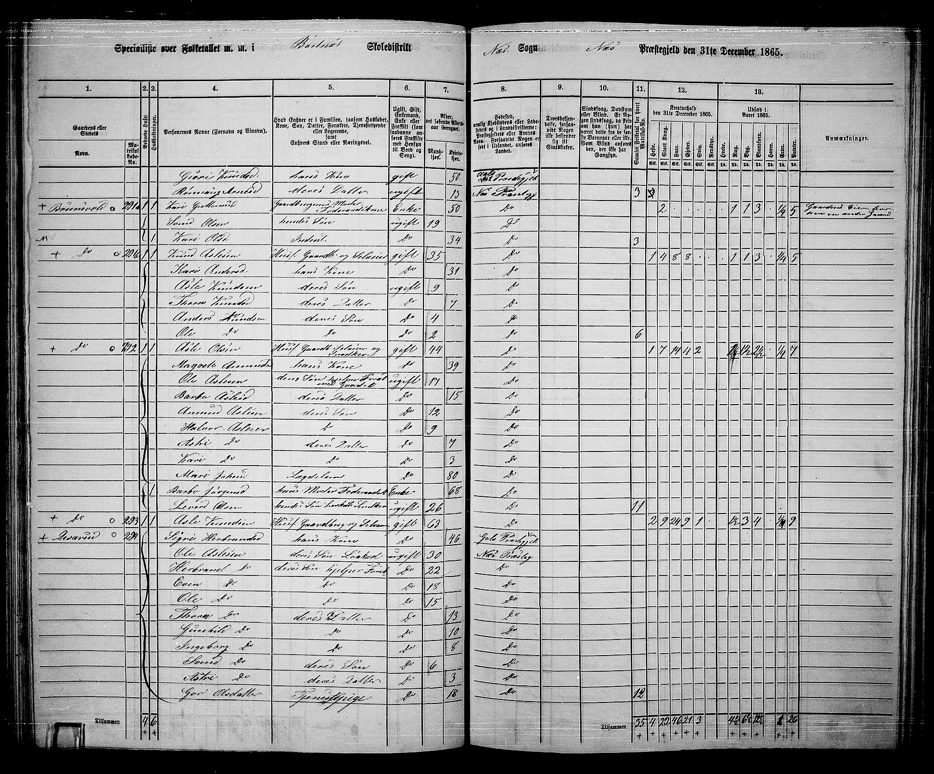 RA, 1865 census for Nes, 1865, p. 119