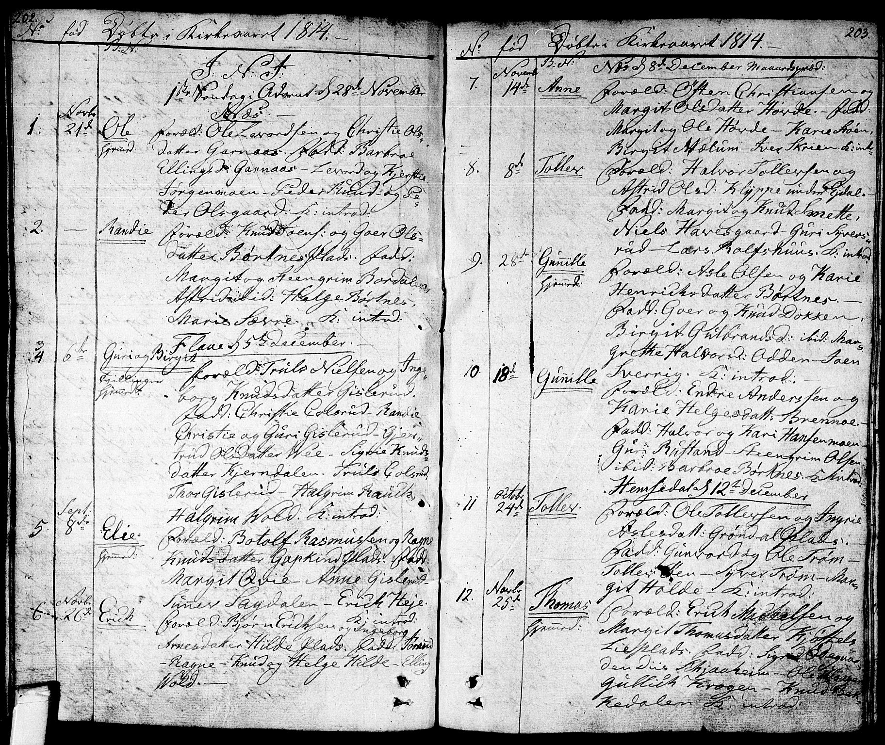 Nes kirkebøker, SAKO/A-236/F/Fa/L0006: Parish register (official) no. 6, 1808-1814, p. 202-203