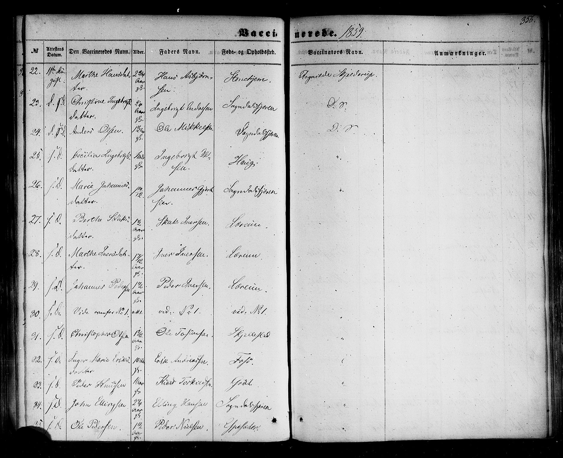 Sogndal sokneprestembete, AV/SAB-A-81301/H/Haa/Haaa/L0013: Parish register (official) no. A 13, 1859-1877, p. 356