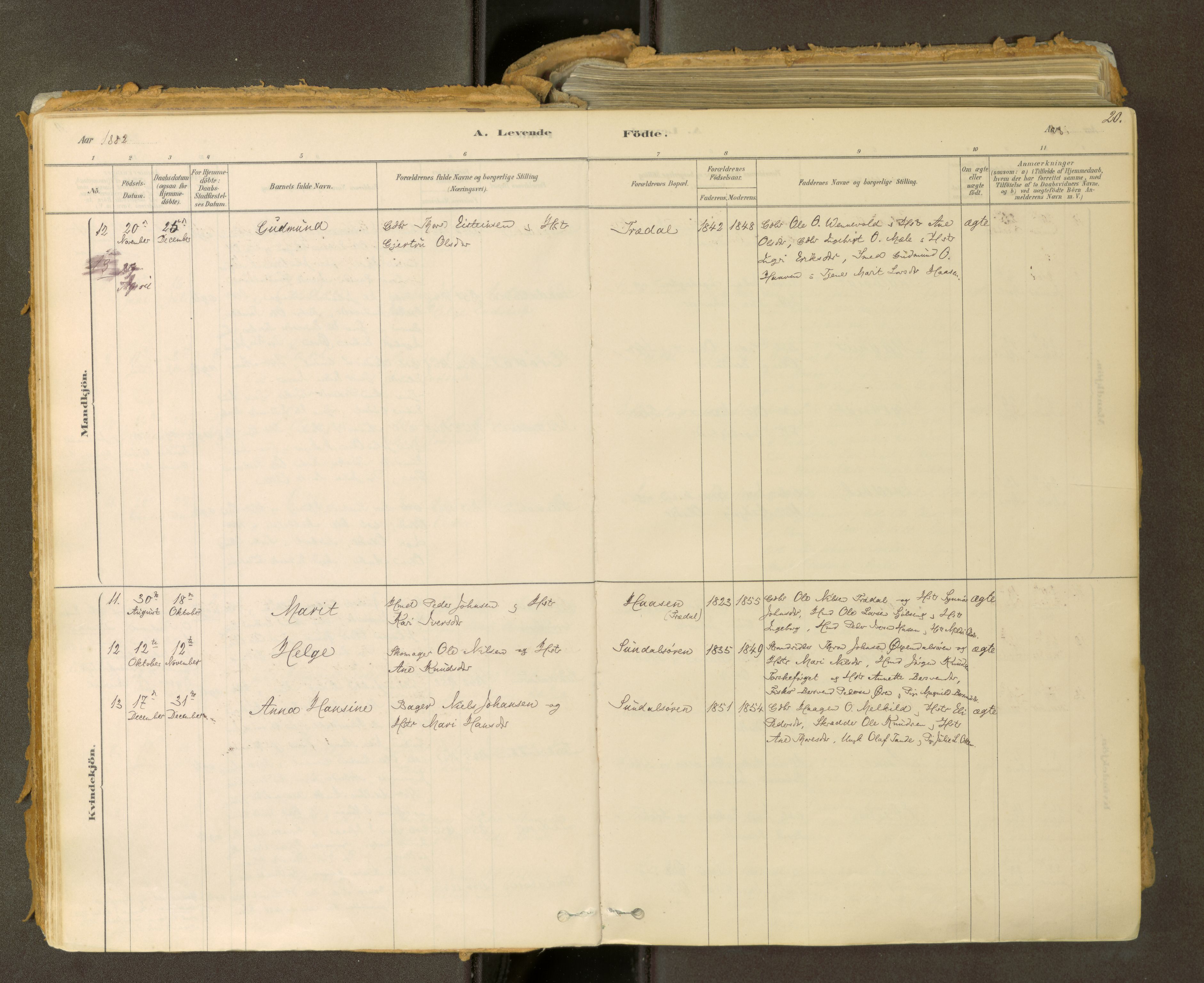 Sunndal sokneprestkontor, AV/SAT-A-1085/1/I/I1/I1a: Parish register (official) no. 2, 1877-1914, p. 20