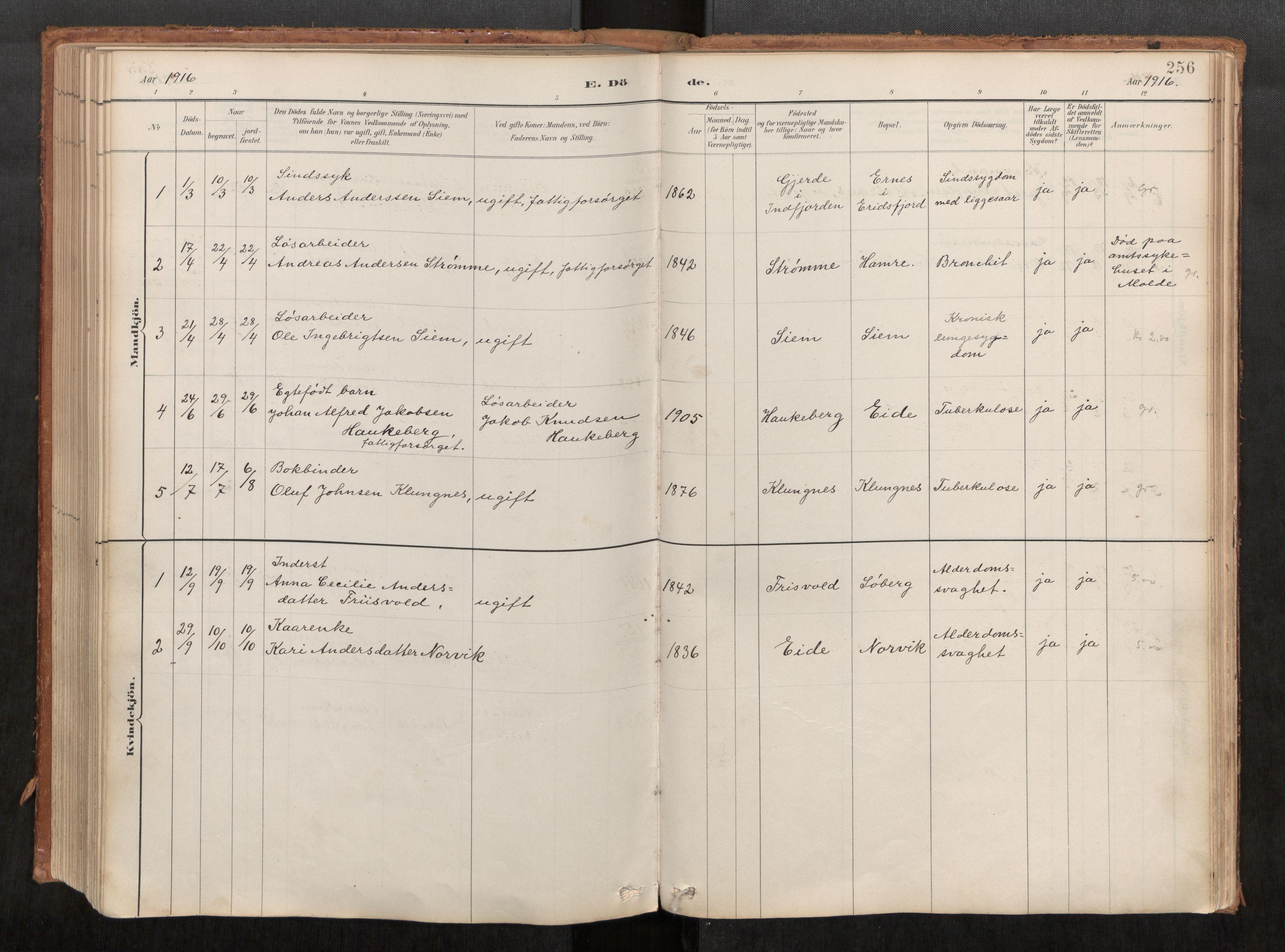 Ministerialprotokoller, klokkerbøker og fødselsregistre - Møre og Romsdal, AV/SAT-A-1454/542/L0553: Parish register (official) no. 542A03, 1885-1925, p. 256