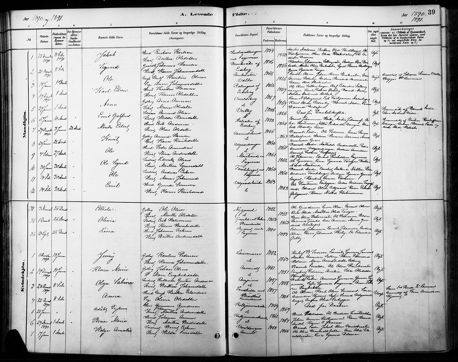 Vinger prestekontor, AV/SAH-PREST-024/H/Ha/Haa/L0015: Parish register (official) no. 15, 1881-1900, p. 39