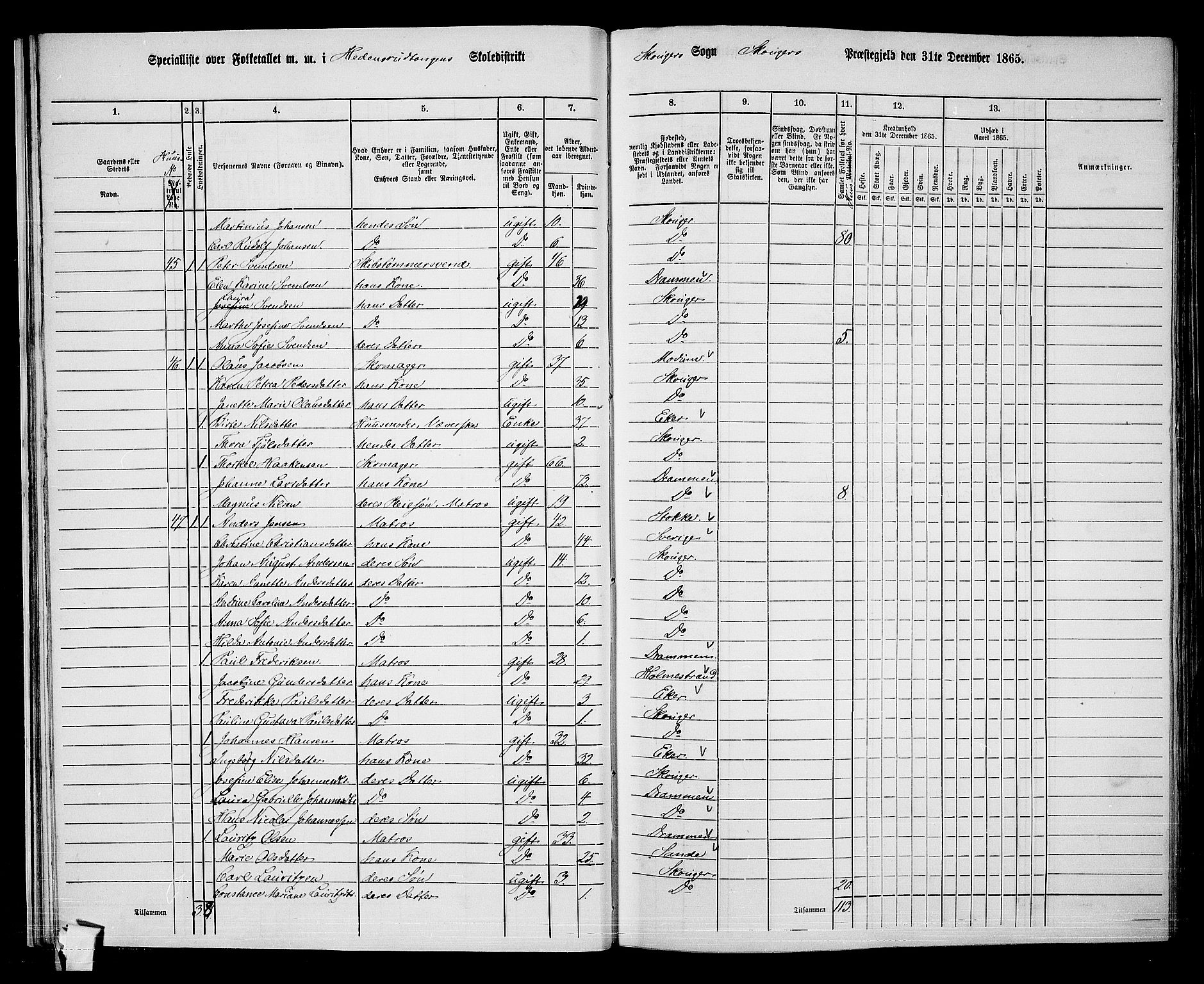 RA, 1865 census for Skoger, 1865, p. 30