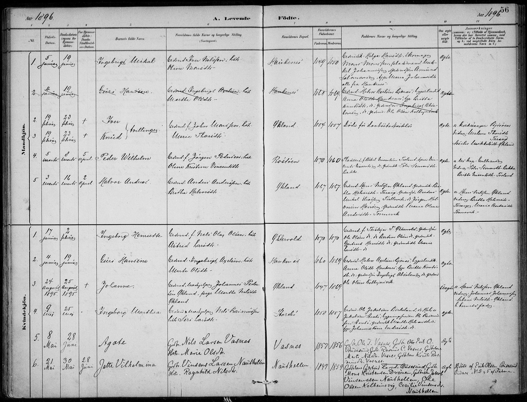 Sund sokneprestembete, SAB/A-99930: Parish register (official) no. C  1, 1882-1899, p. 56