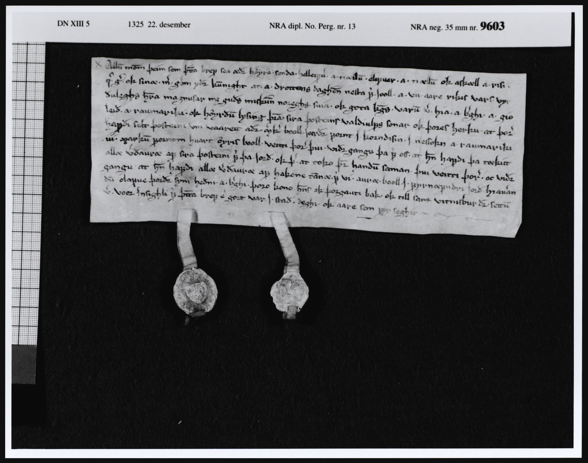 Riksarkivets diplomsamling, RA/EA-5965/F08, 1224-1564, p. 35