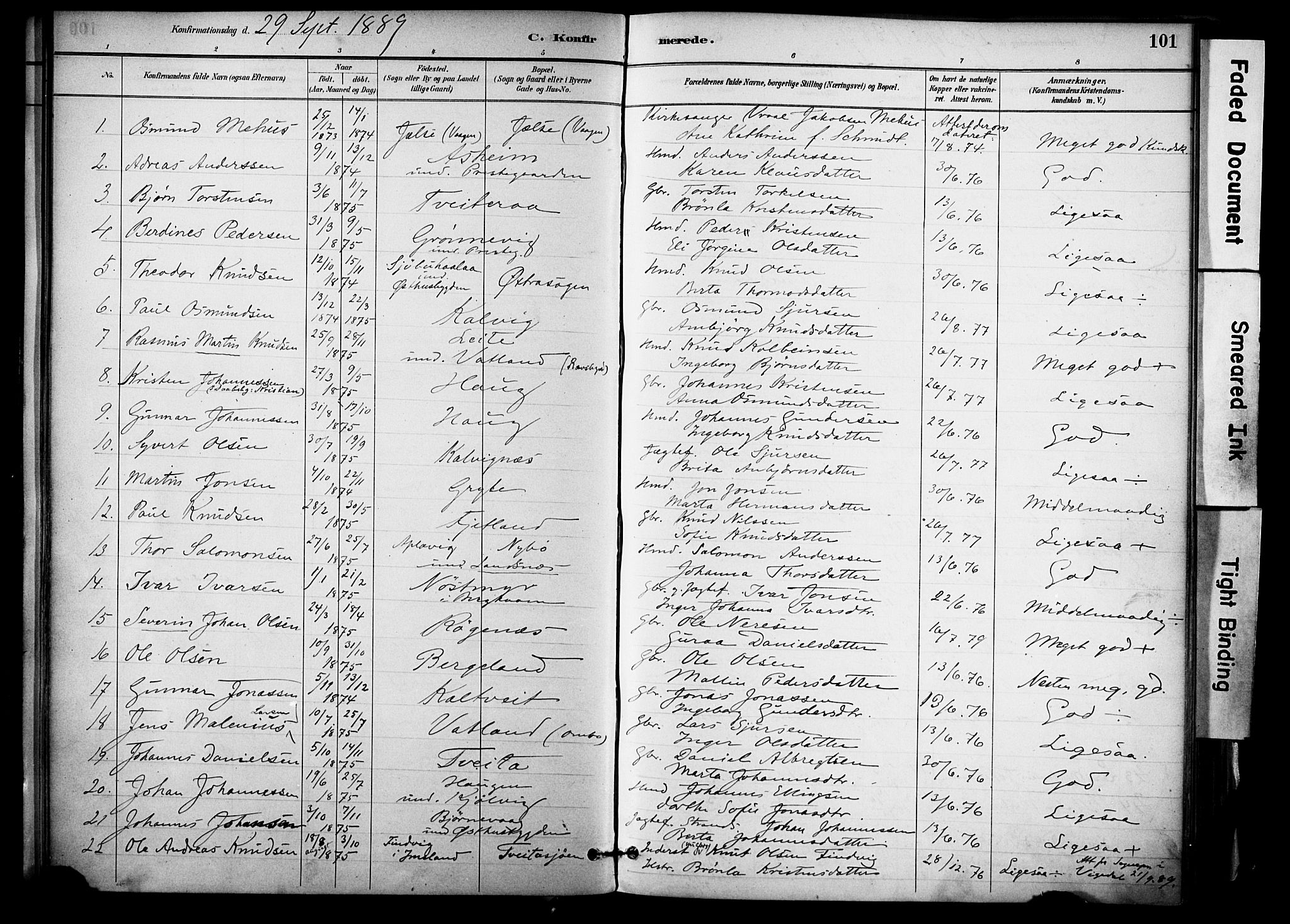 Jelsa sokneprestkontor, SAST/A-101842/01/IV: Parish register (official) no. A 10, 1884-1906, p. 101
