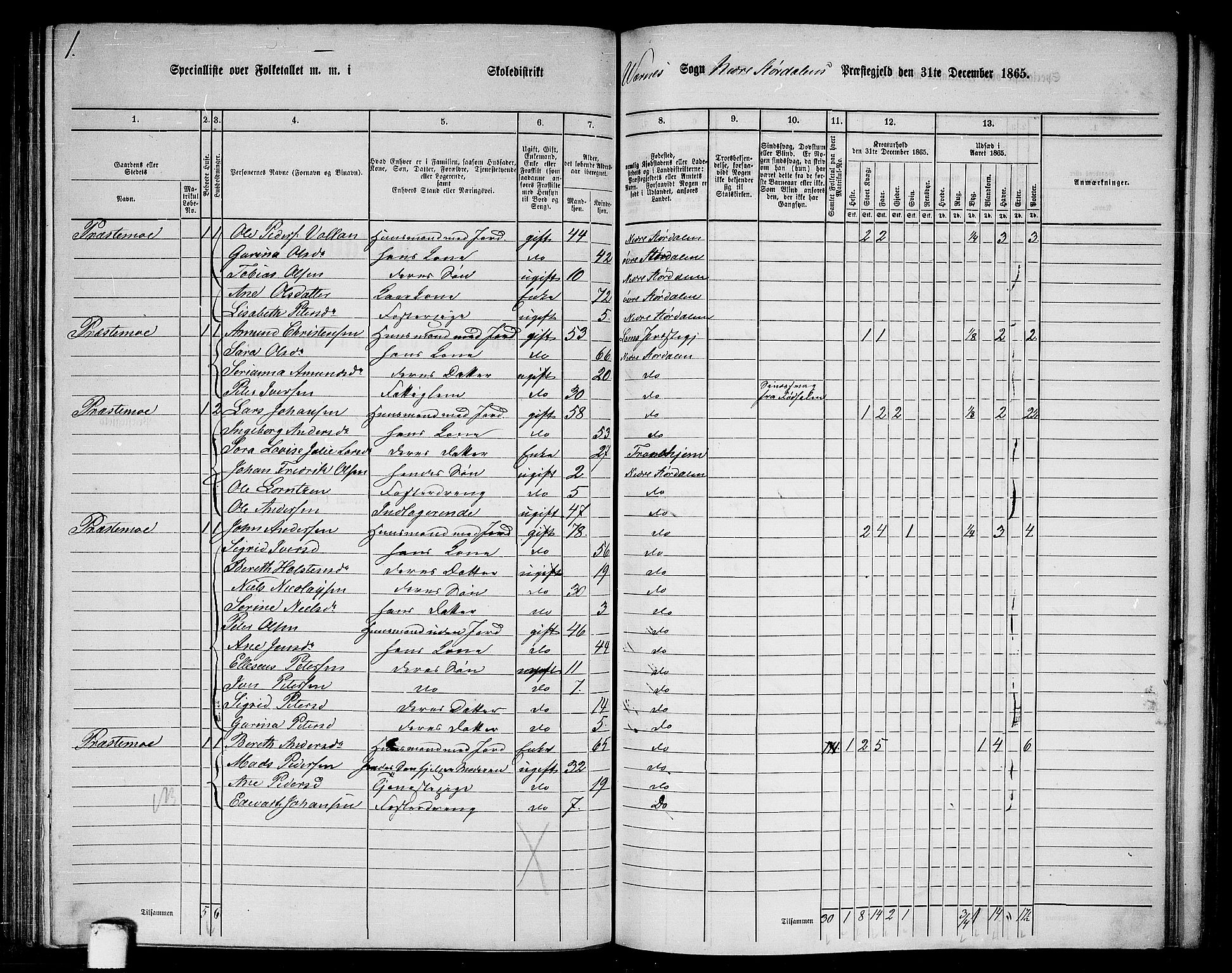 RA, 1865 census for Nedre Stjørdal, 1865, p. 189