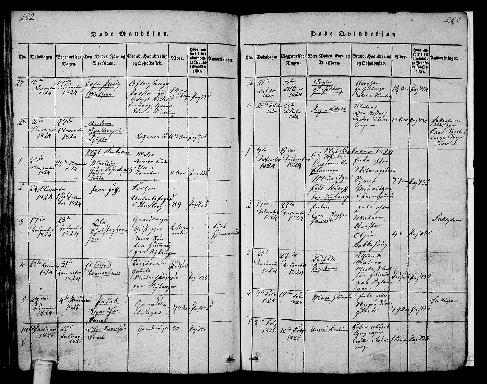 Tønsberg kirkebøker, SAKO/A-330/G/Ga/L0001: Parish register (copy) no. 1, 1813-1826, p. 252-253