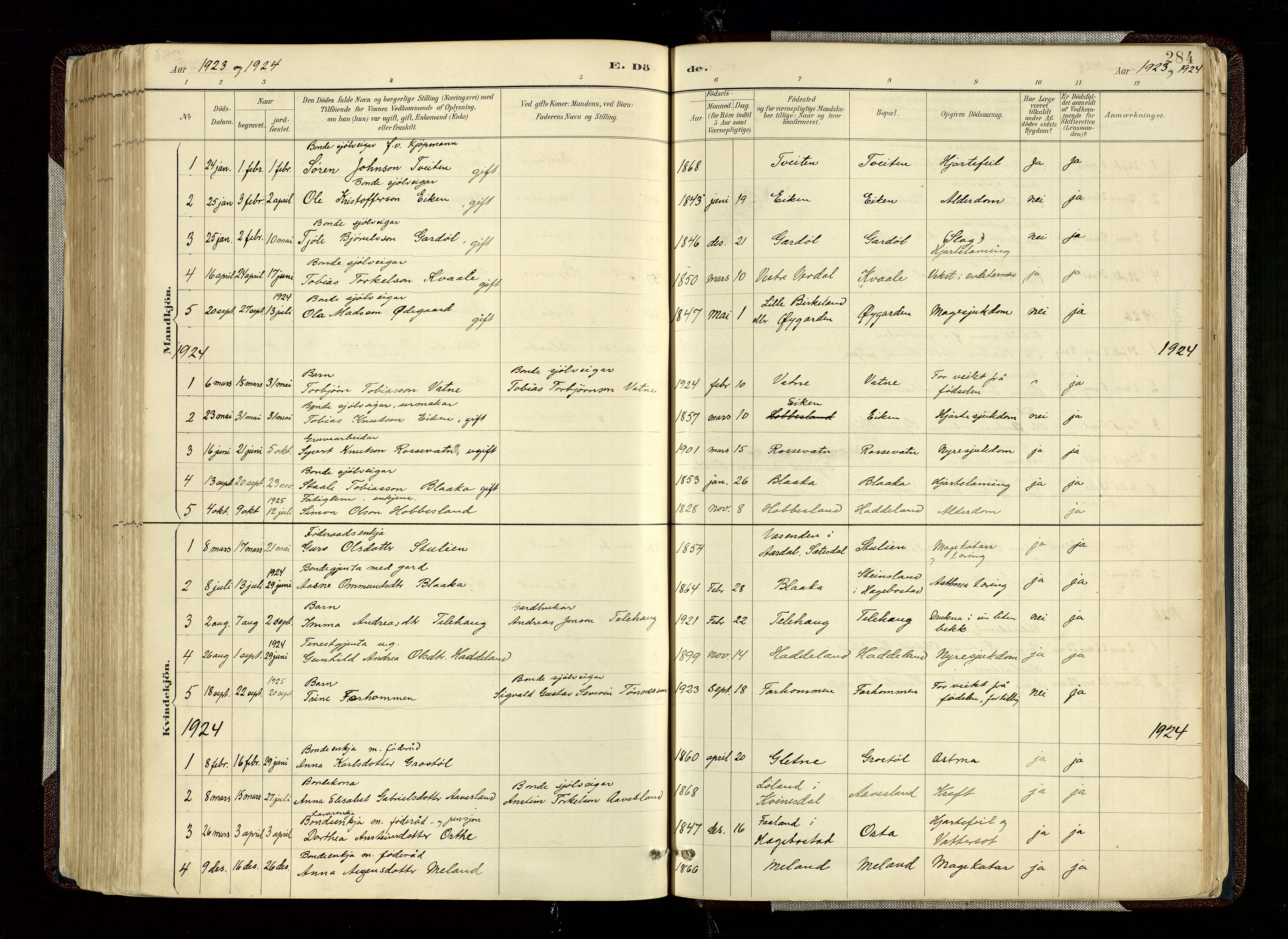 Hægebostad sokneprestkontor, SAK/1111-0024/F/Fa/Fab/L0004: Parish register (official) no. A 4, 1887-1929, p. 284