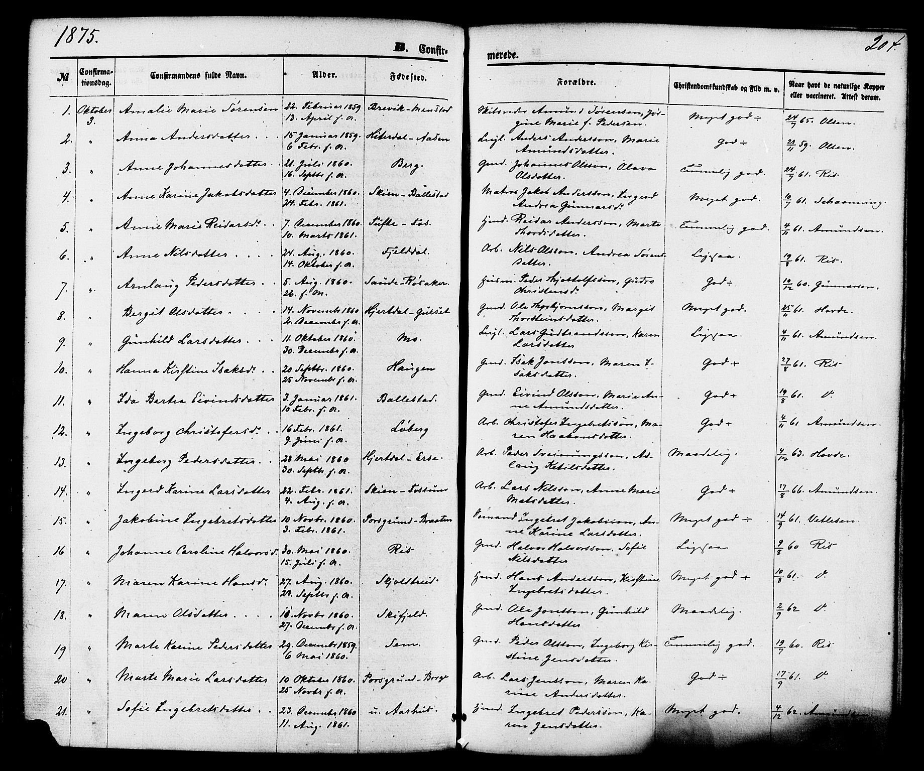 Gjerpen kirkebøker, SAKO/A-265/F/Fa/L0009: Parish register (official) no. I 9, 1872-1885, p. 204