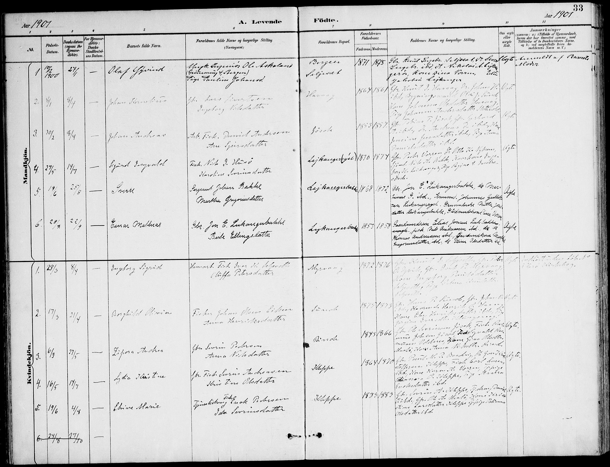 Ministerialprotokoller, klokkerbøker og fødselsregistre - Møre og Romsdal, AV/SAT-A-1454/508/L0095: Parish register (official) no. 508A02, 1887-1920, p. 33