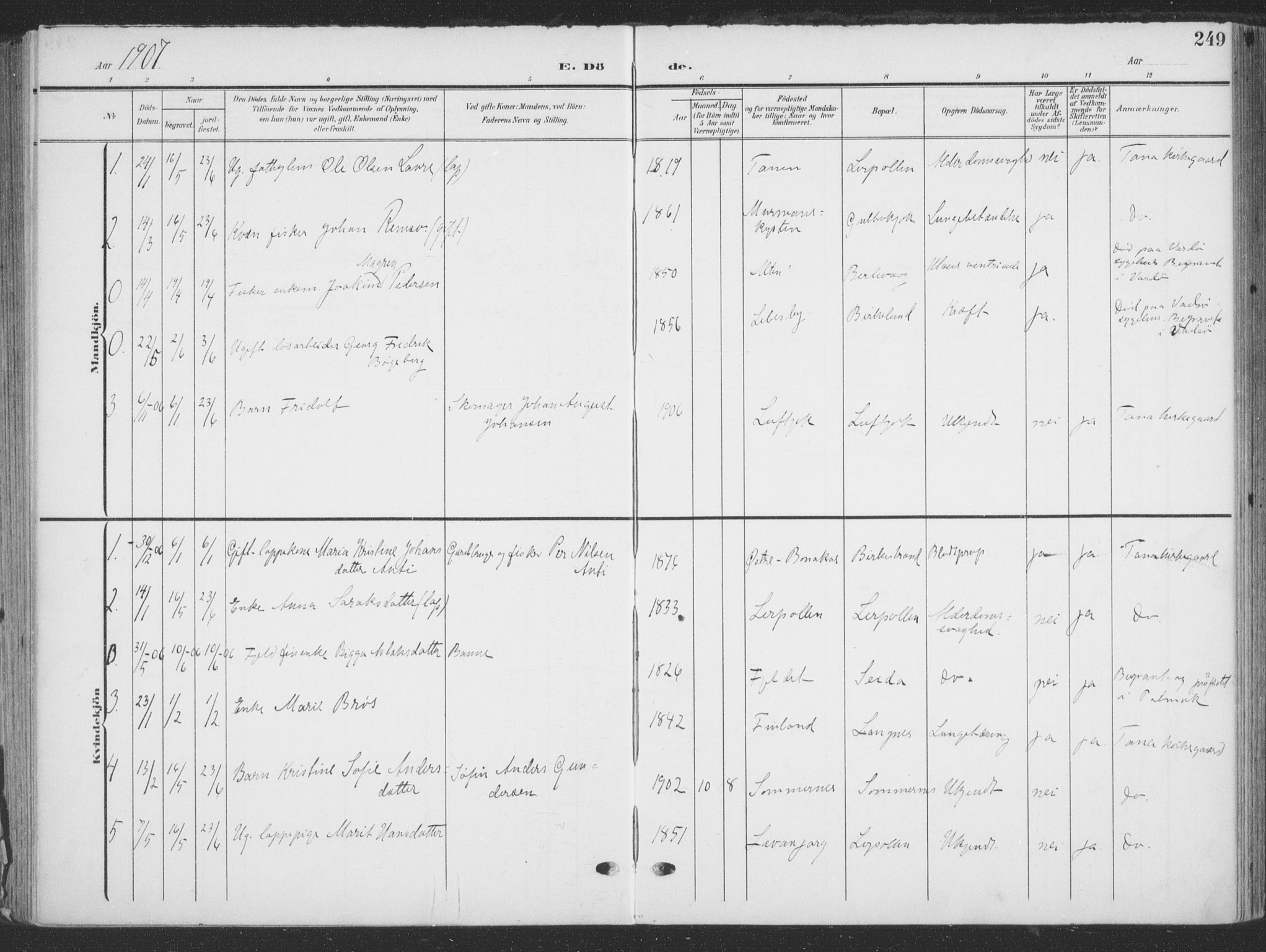 Tana sokneprestkontor, SATØ/S-1334/H/Ha/L0007kirke: Parish register (official) no. 7, 1904-1918, p. 249