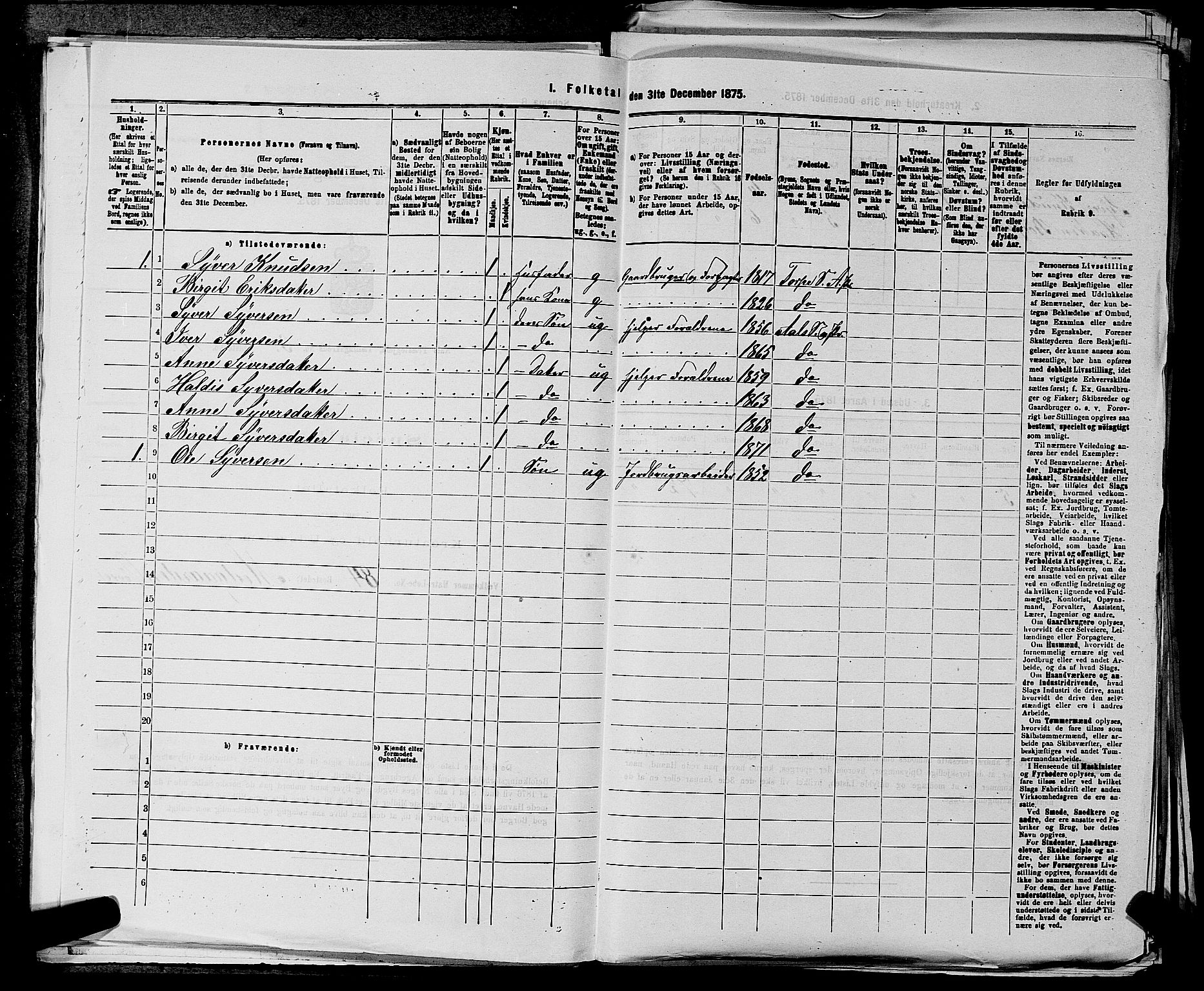 SAKO, 1875 census for 0619P Ål, 1875, p. 344