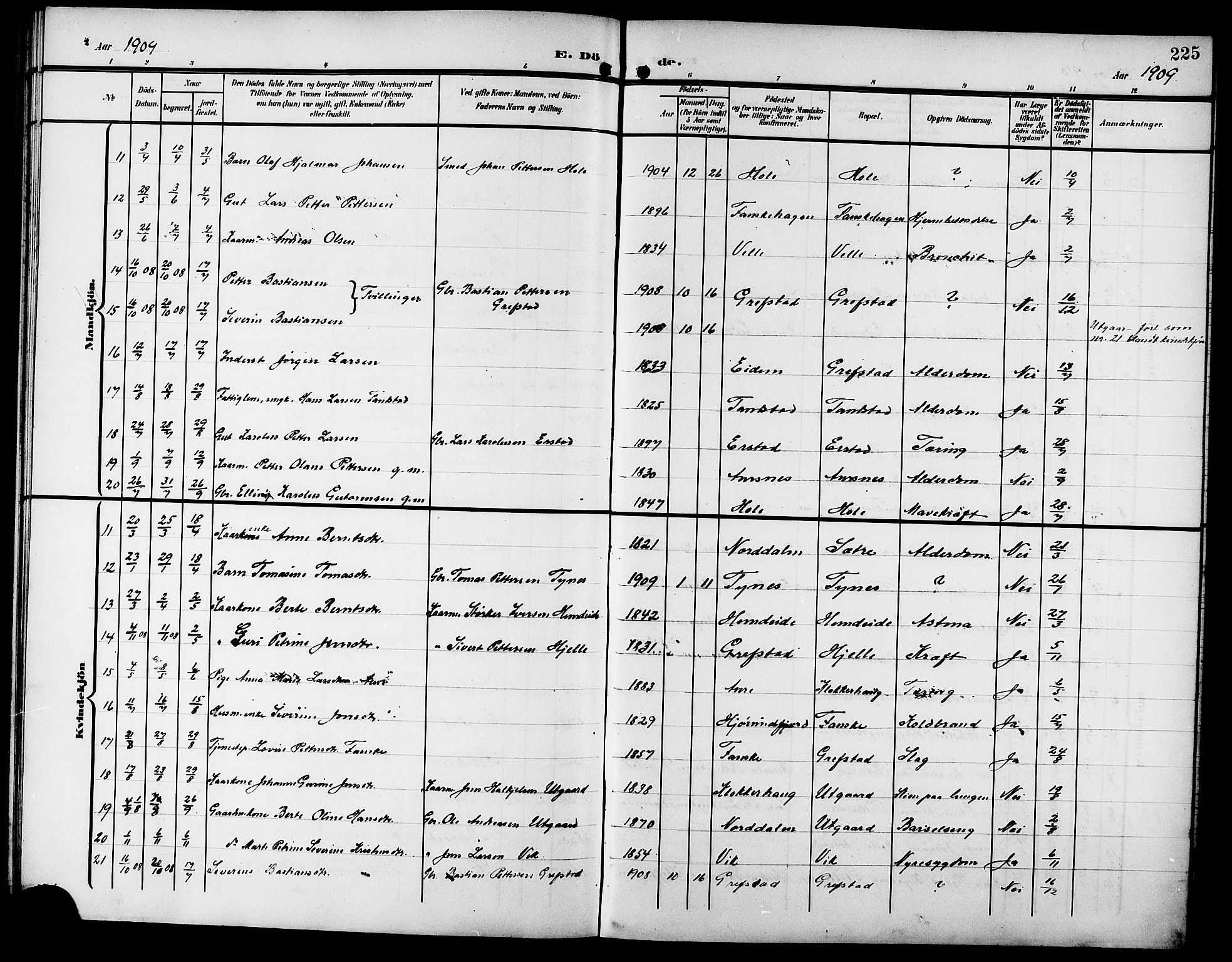 Ministerialprotokoller, klokkerbøker og fødselsregistre - Møre og Romsdal, SAT/A-1454/523/L0341: Parish register (copy) no. 523C04, 1903-1916, p. 225